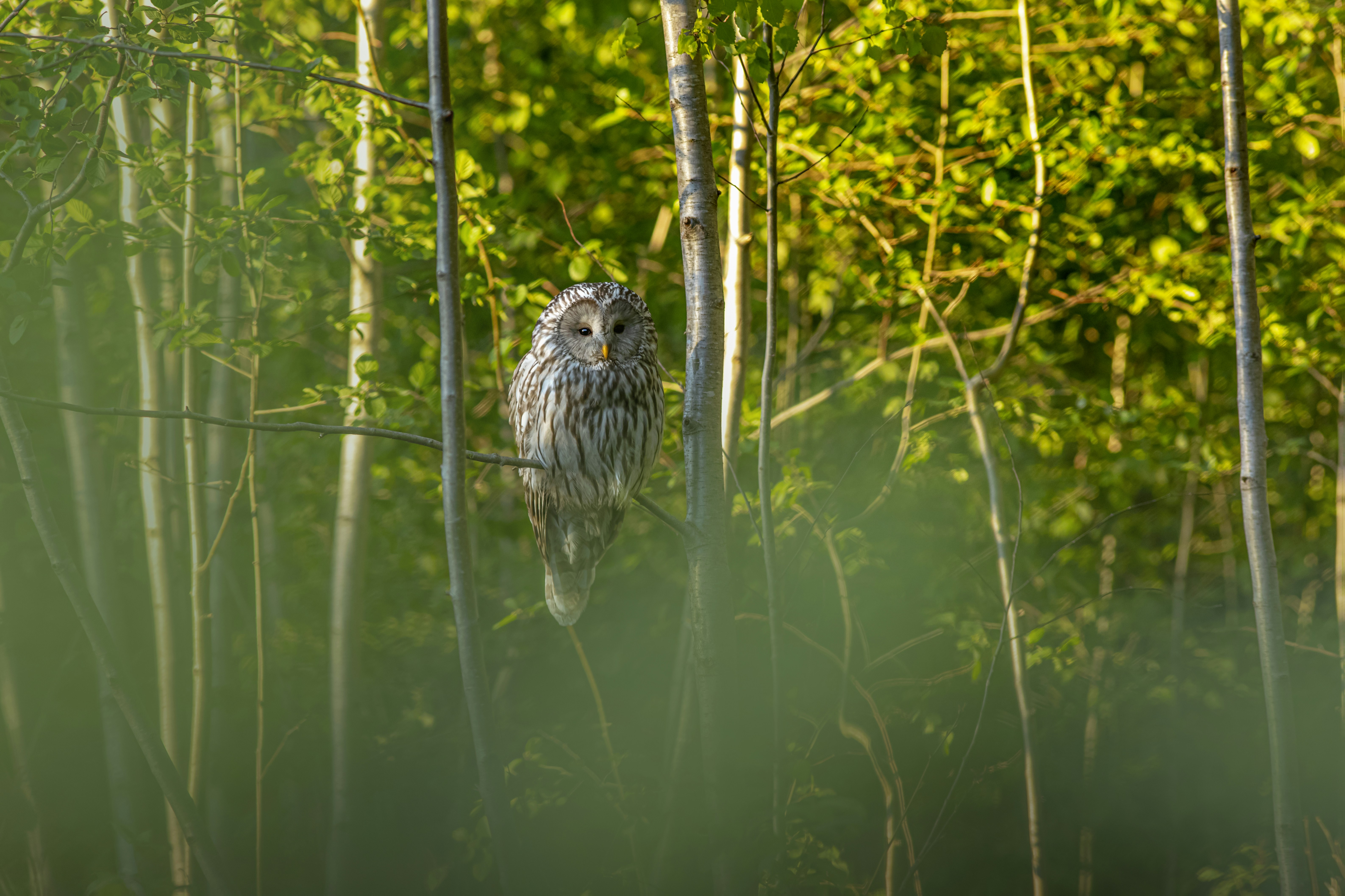 Photo by erik_karits