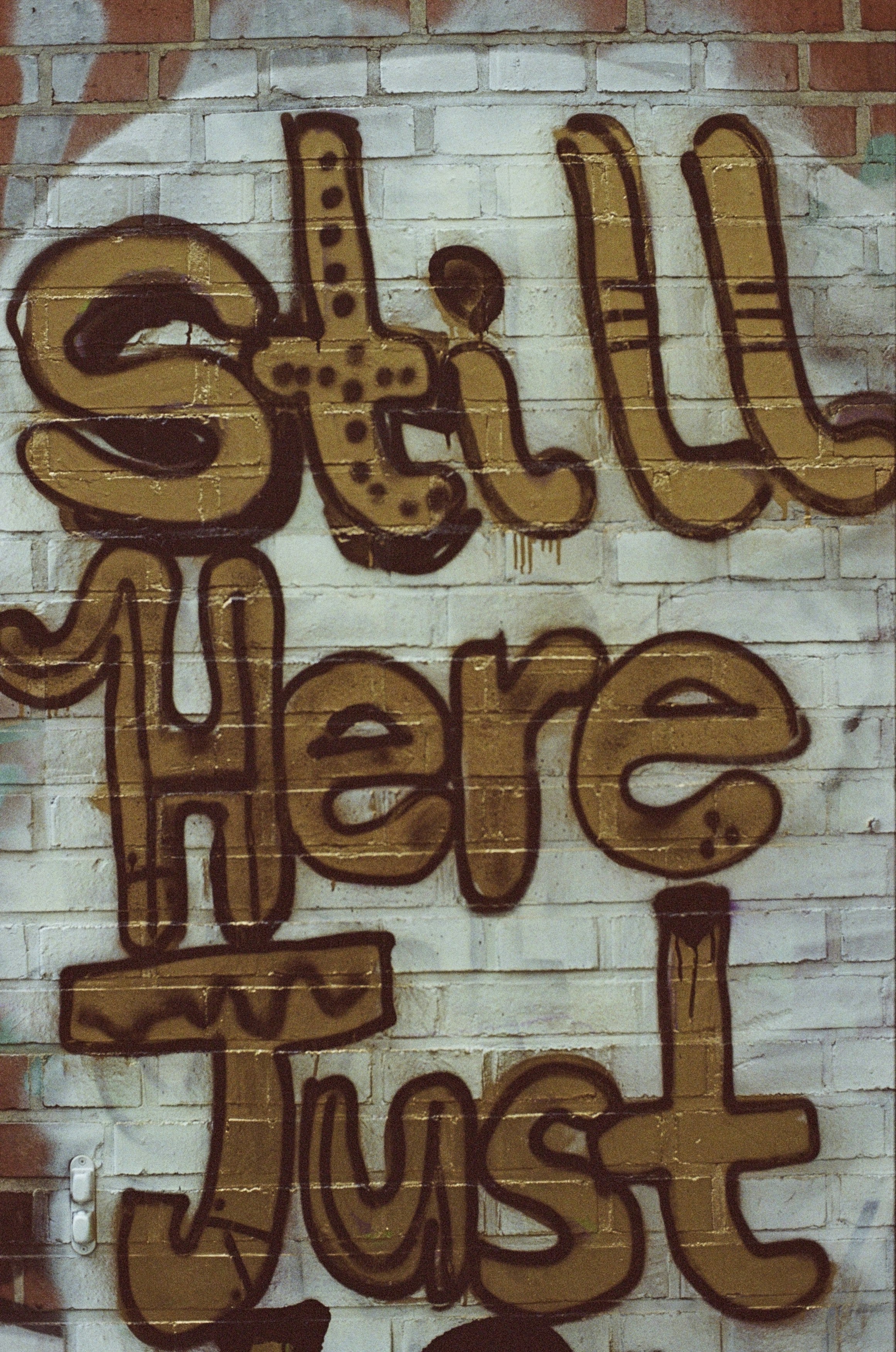 Graffiti cutout – STILL HERE JUST… Leica R7 (1994), Summilux-R 1.4 50mm (1983). Hi-Res analog scan by www.totallyinfocus.com – Kodak VR Plus 400 (expired 2009) 