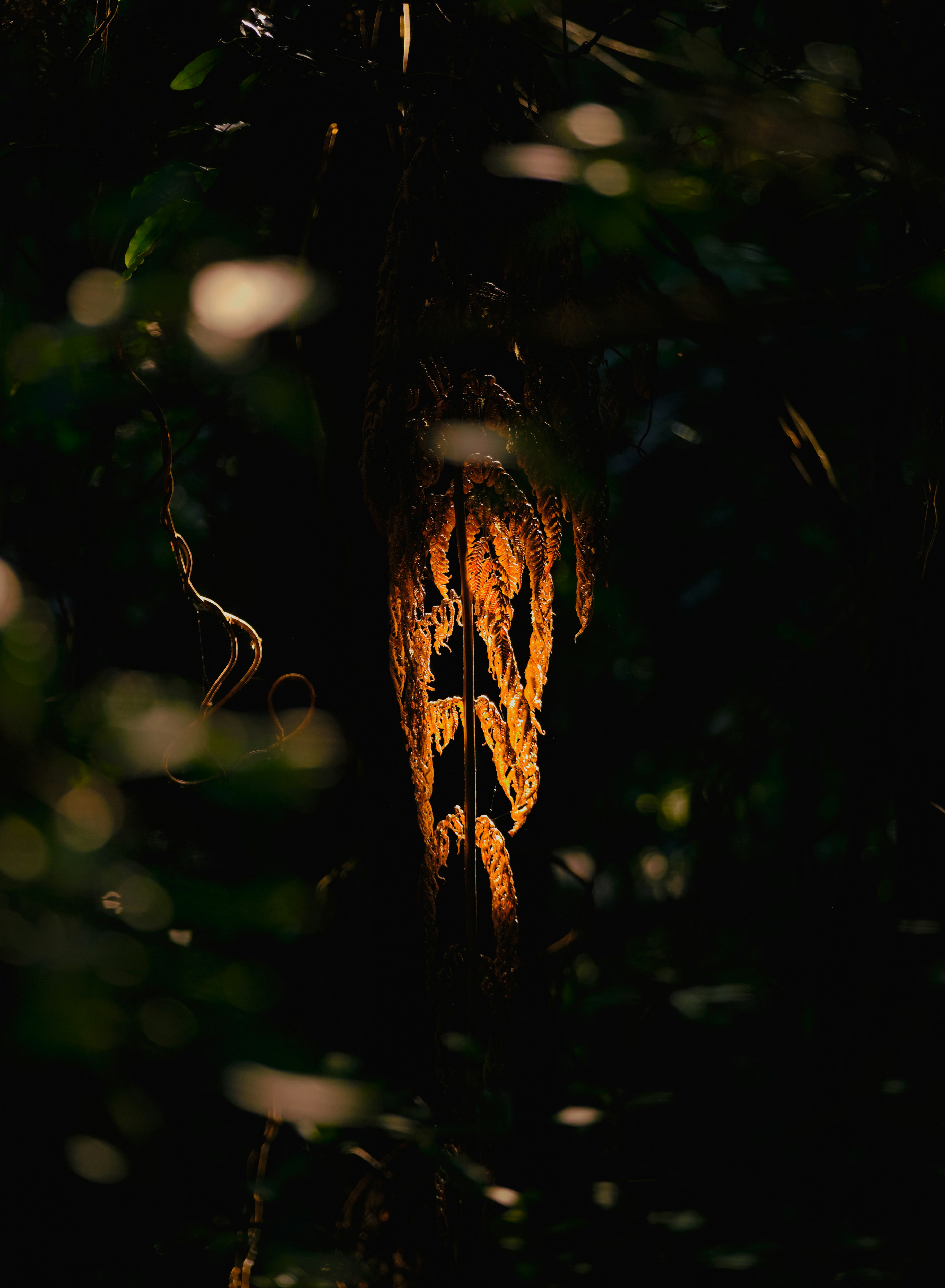 a light that is on in the dark