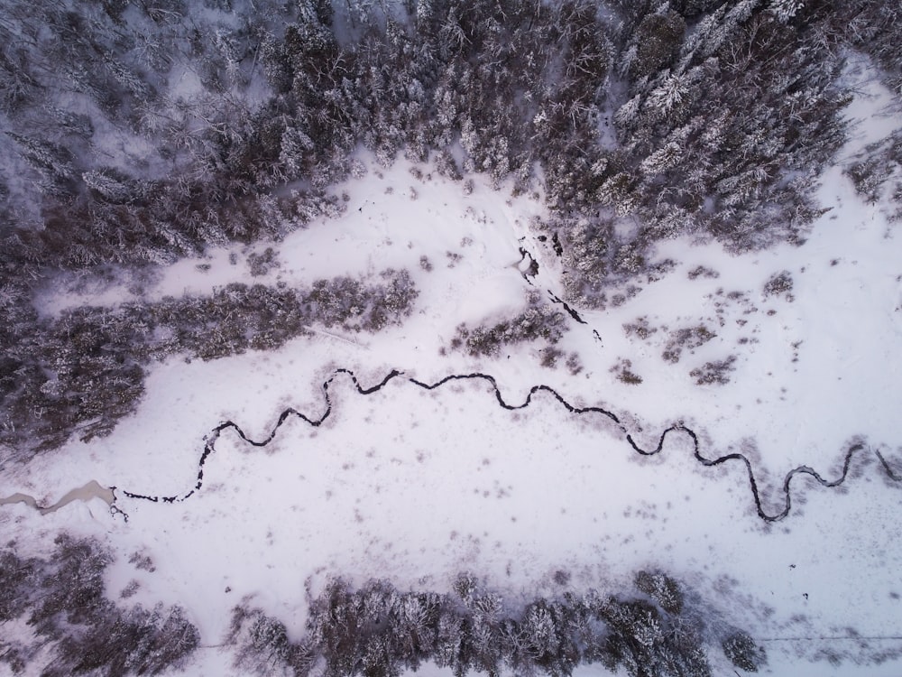 an aerial view of a snow covered forest