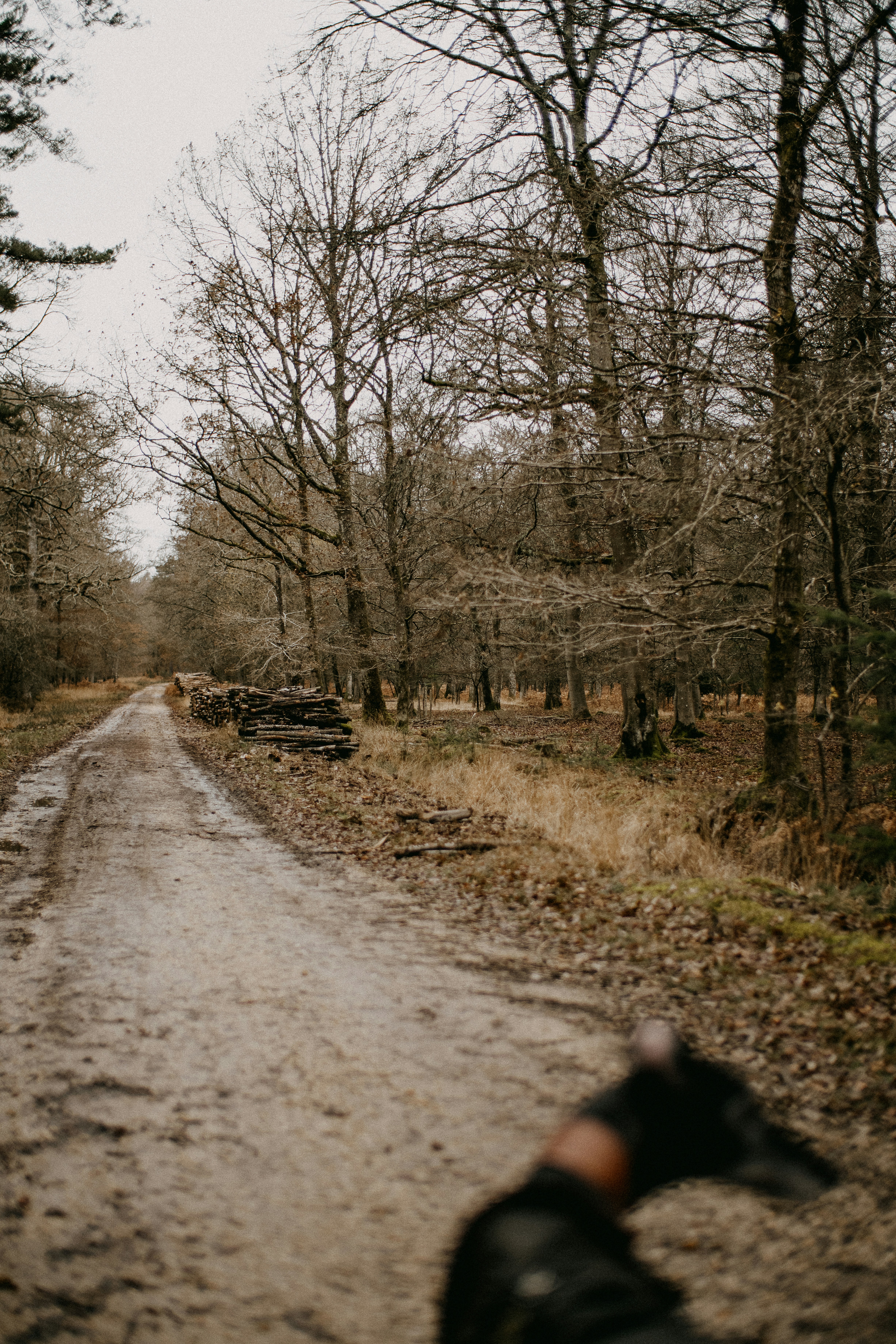 Photo by anniespratt