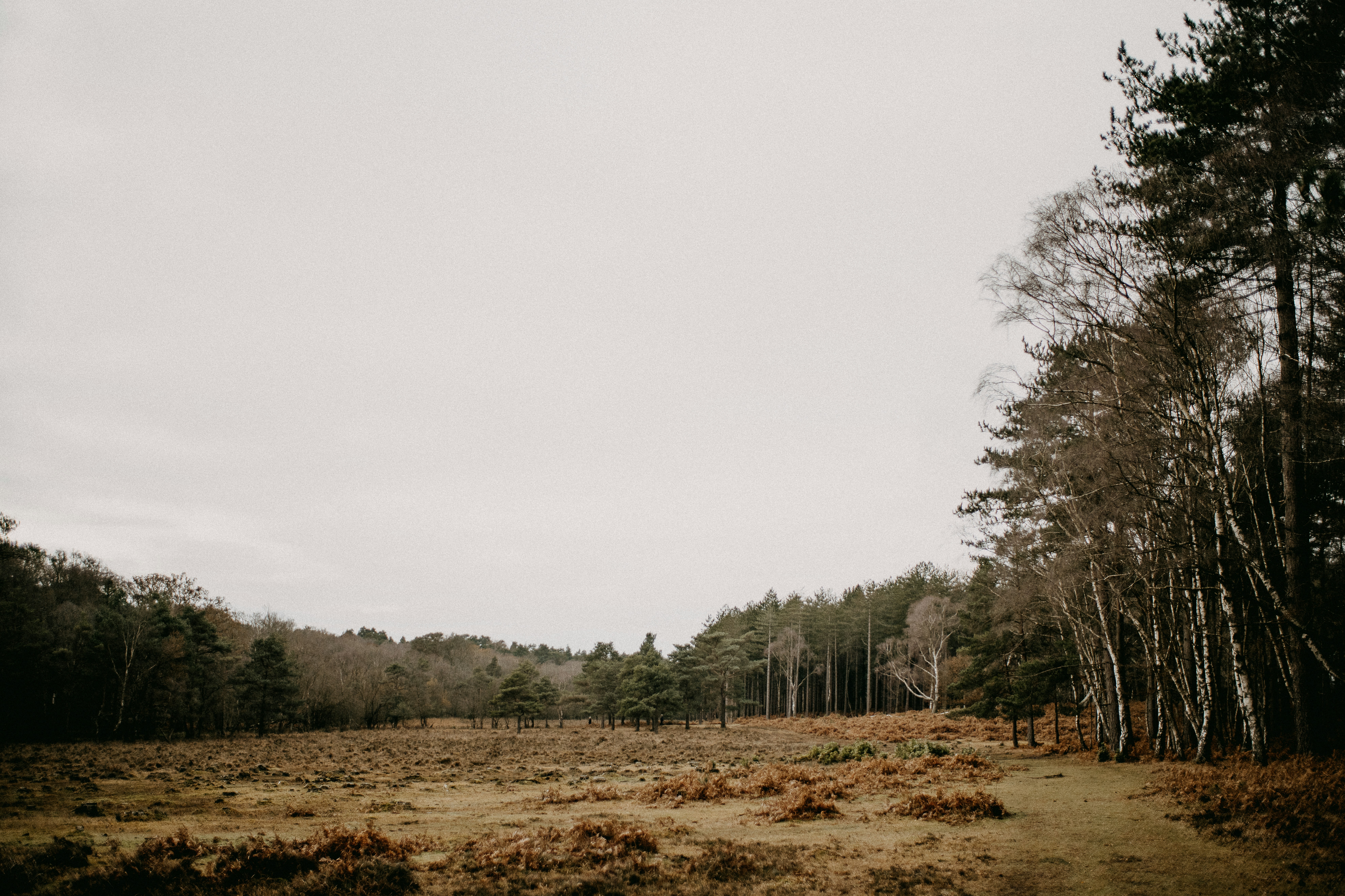 Photo by anniespratt