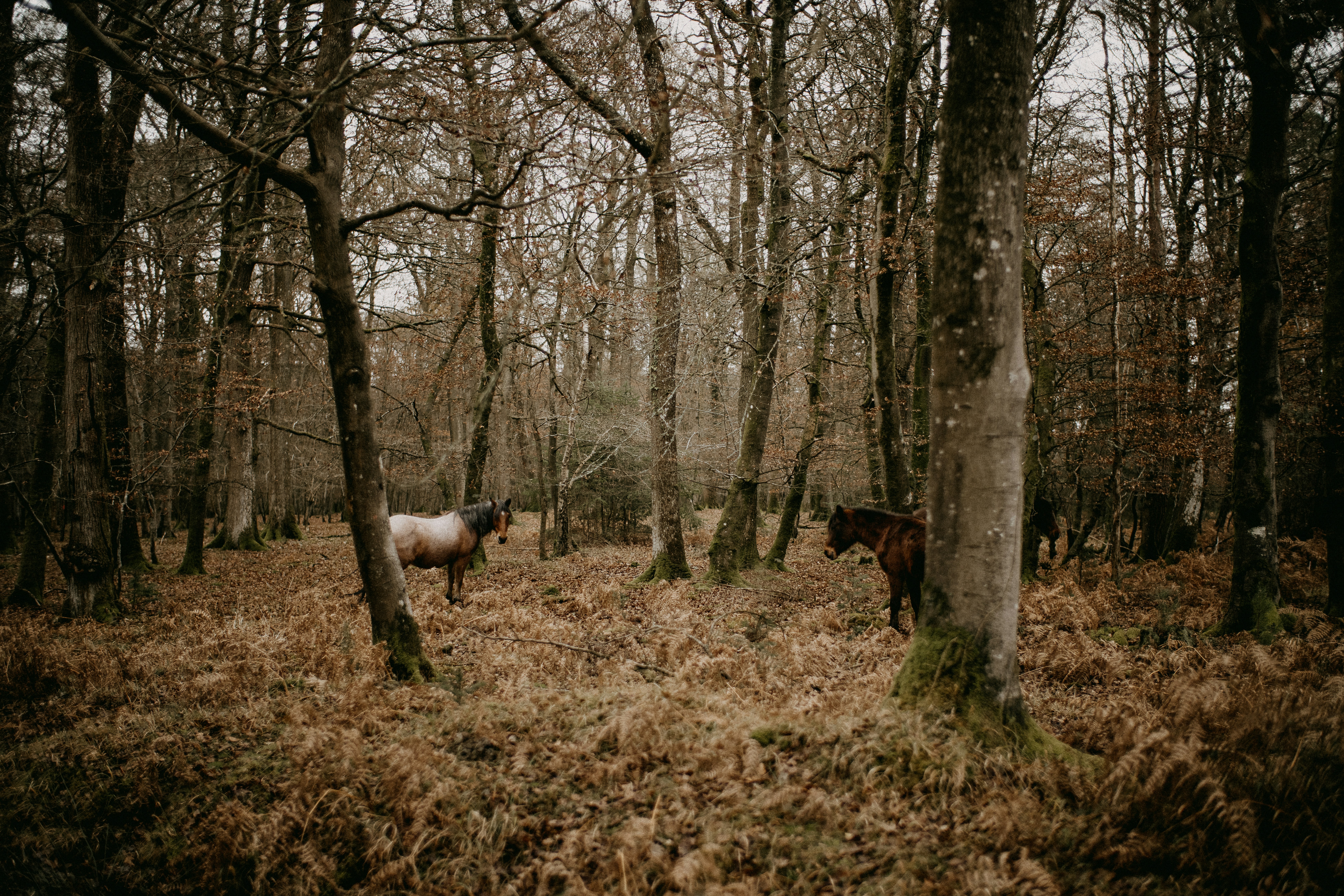 Photo by anniespratt