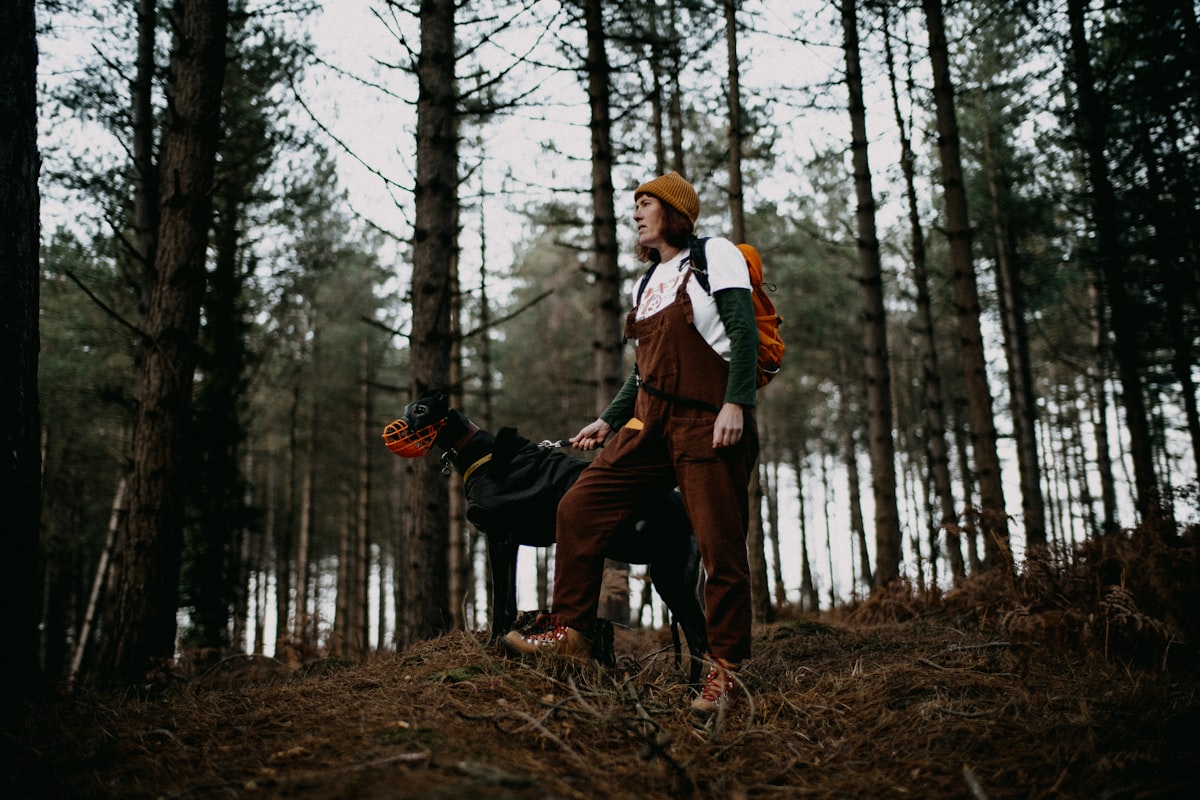 Person walking with dog in forest