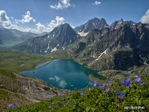 a mountain range with a lake surrounded by blue flowers