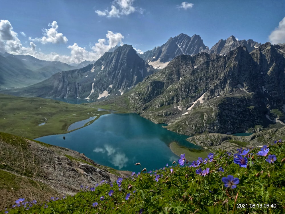 a mountain range with a lake surrounded by blue flowers