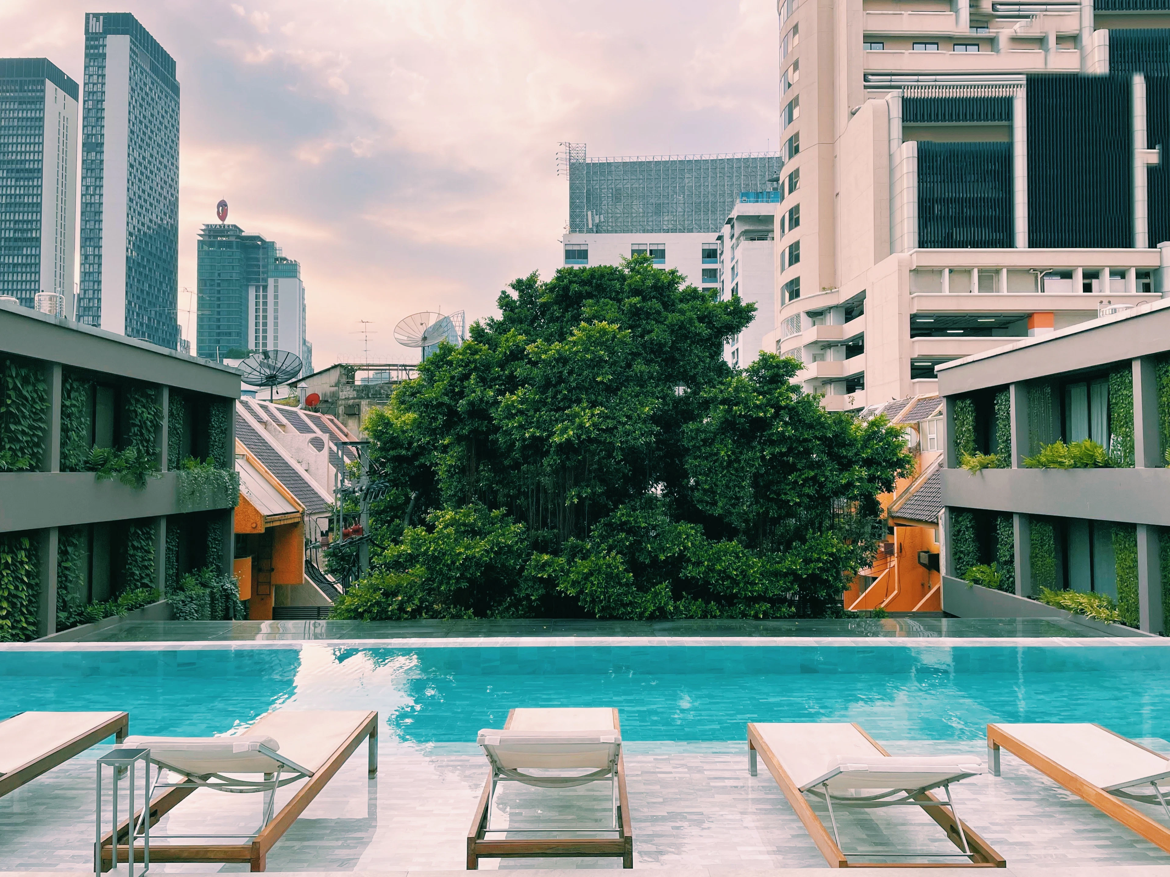 A hotel courtyard pool in Bangkok at dusk, empty white loungers along its edge, plant-covered balconies on both sides and a single huge tree framed against the city's towers and a pink sky