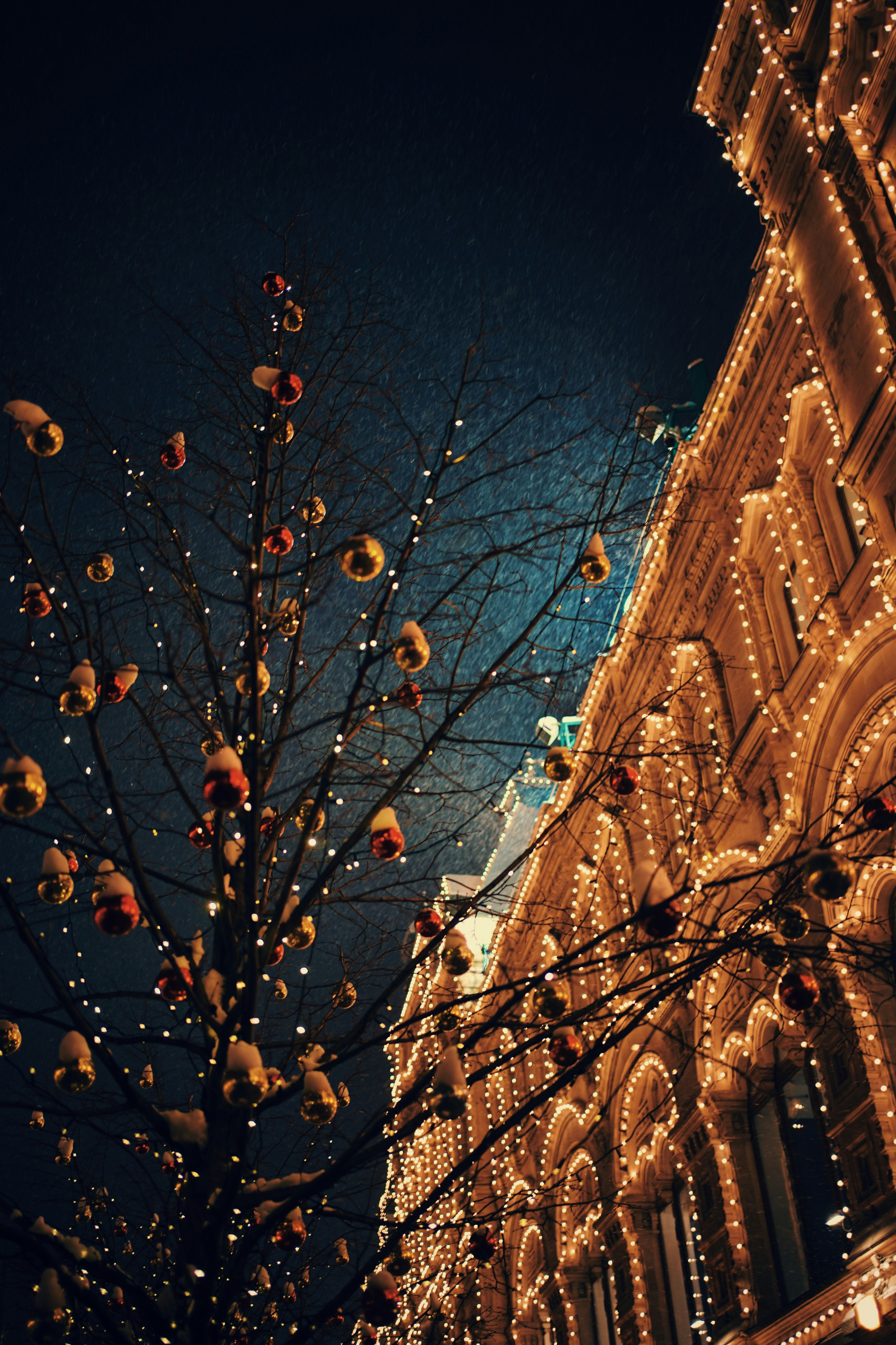 Photo by shklyaevmax
