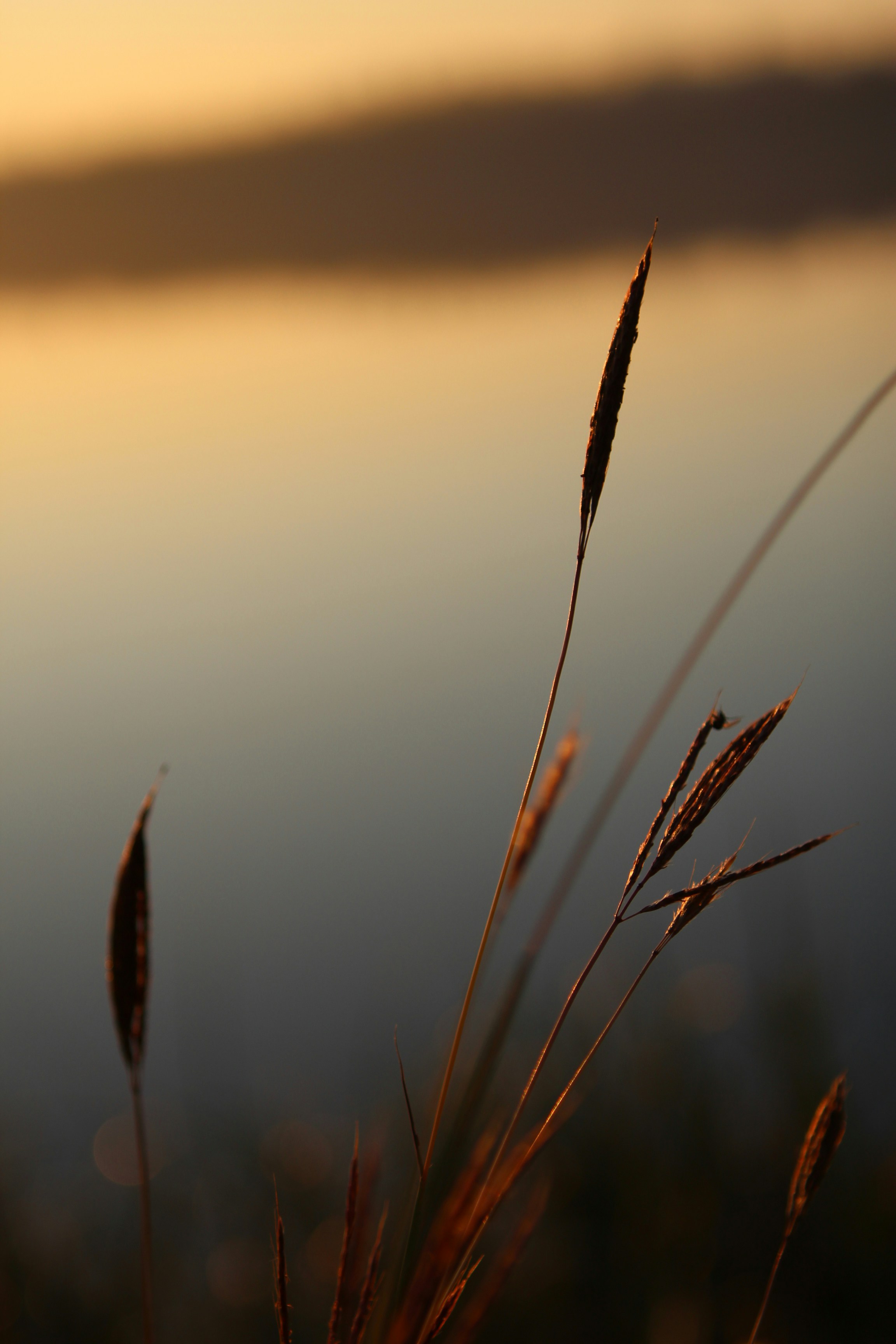 Photo by doinagavrilov