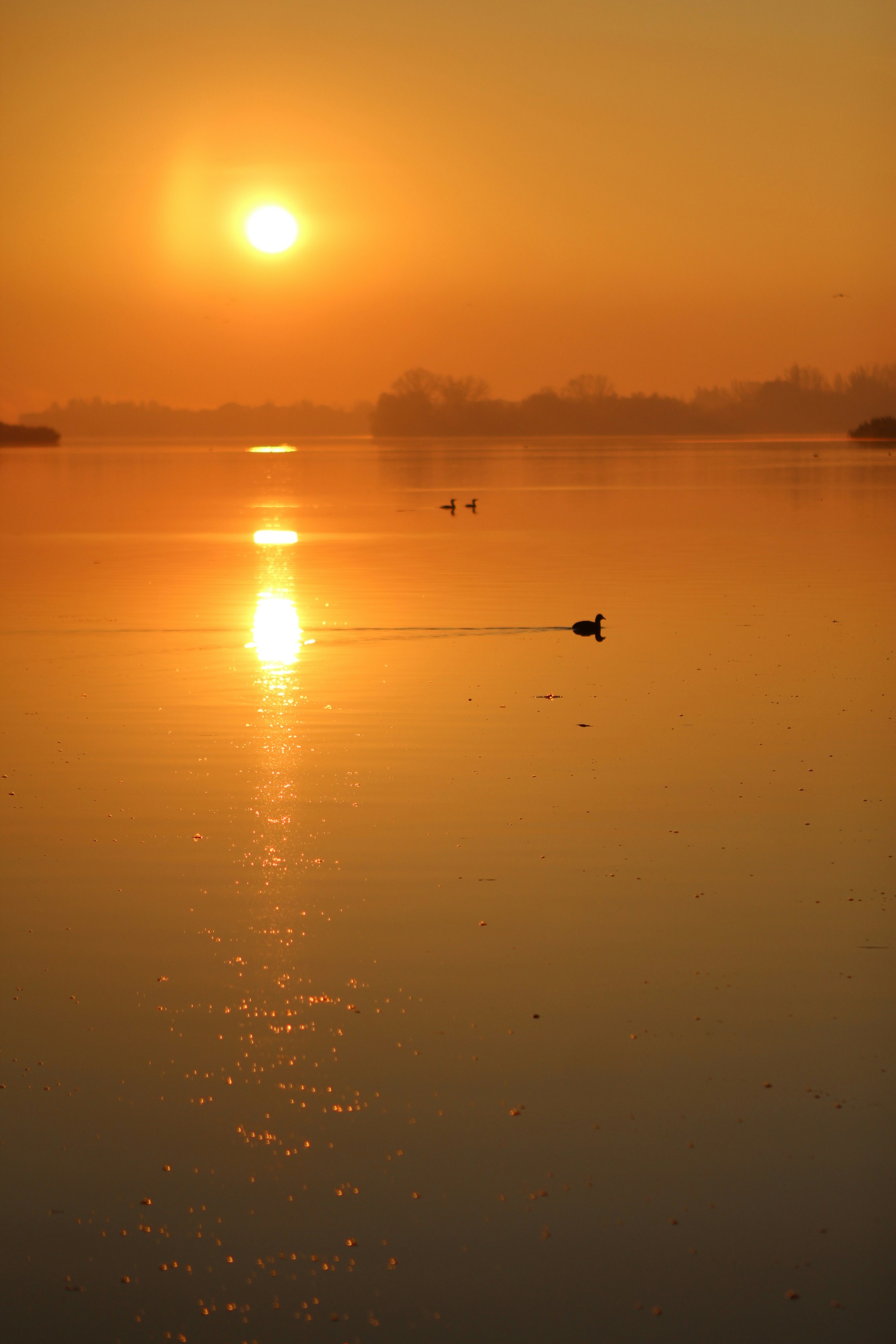 Photo by doinagavrilov