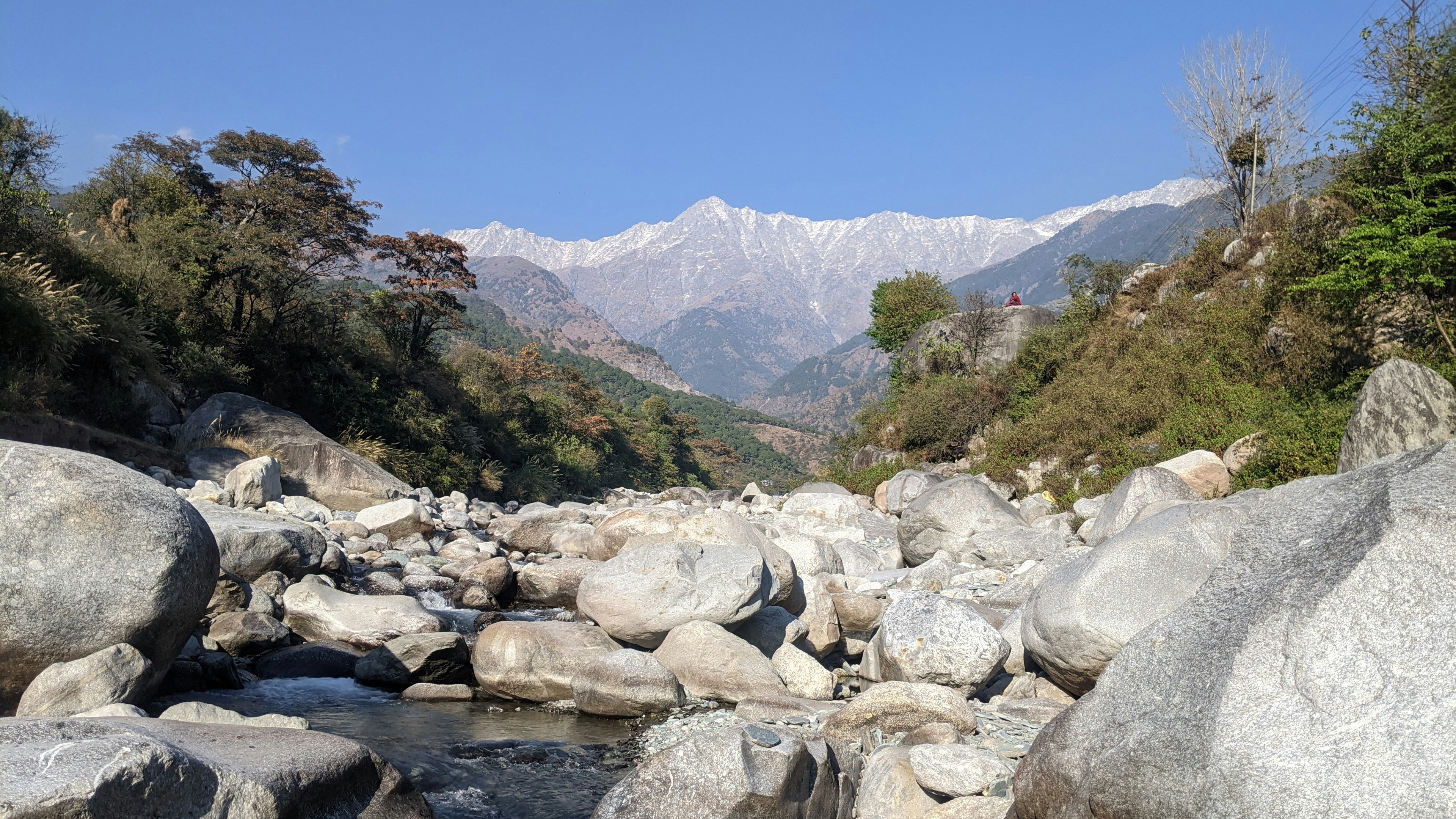 10 Local Conservation Projects Boosted by Himalaya Eco Travel