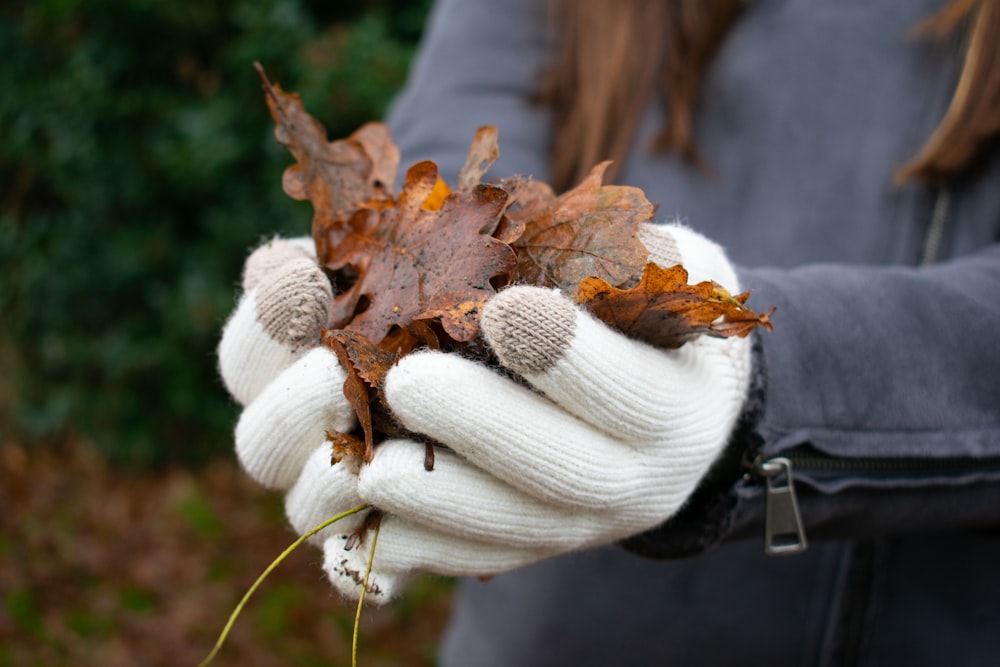 a person holding a leaf in their hands