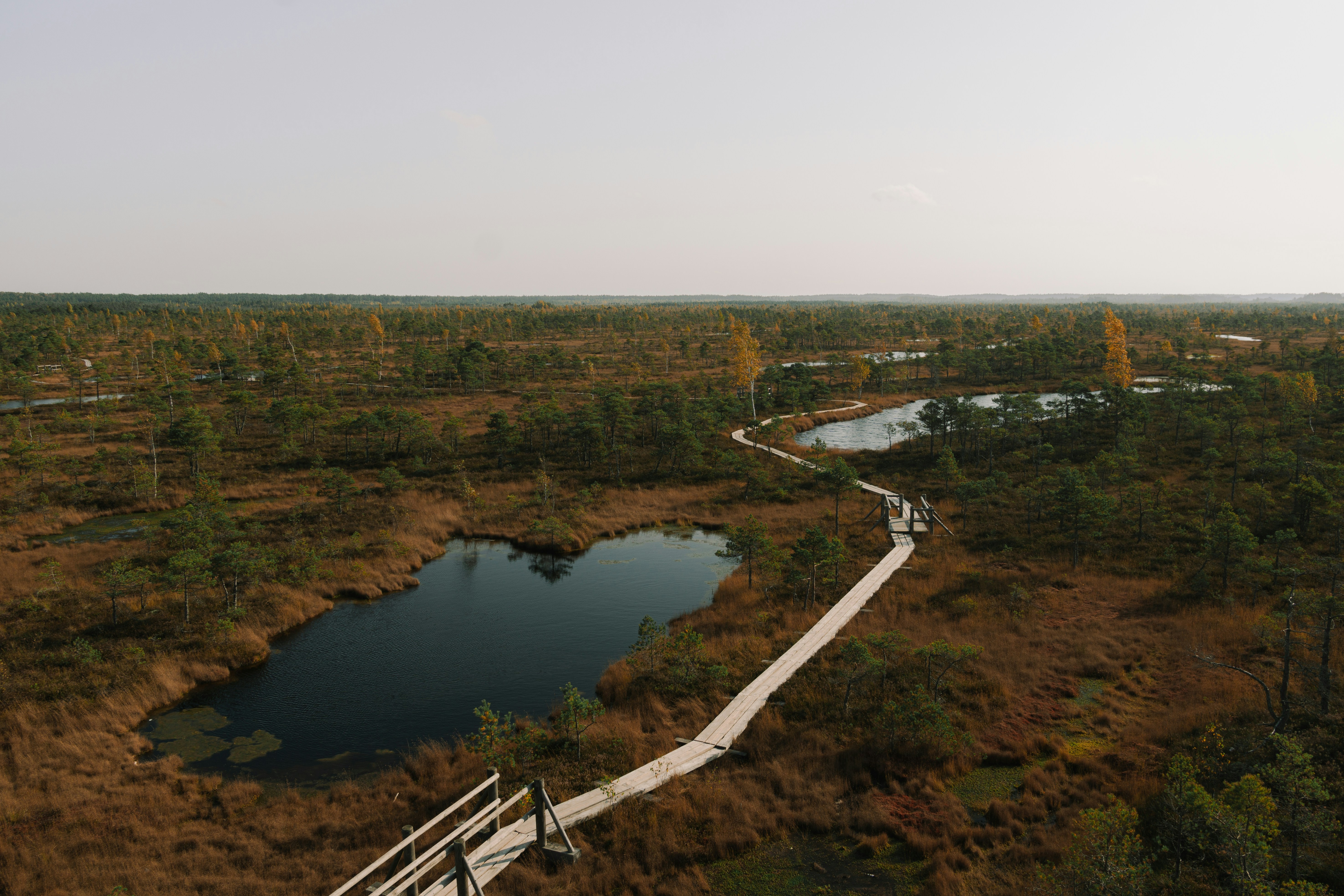 Photo by racooncmedia