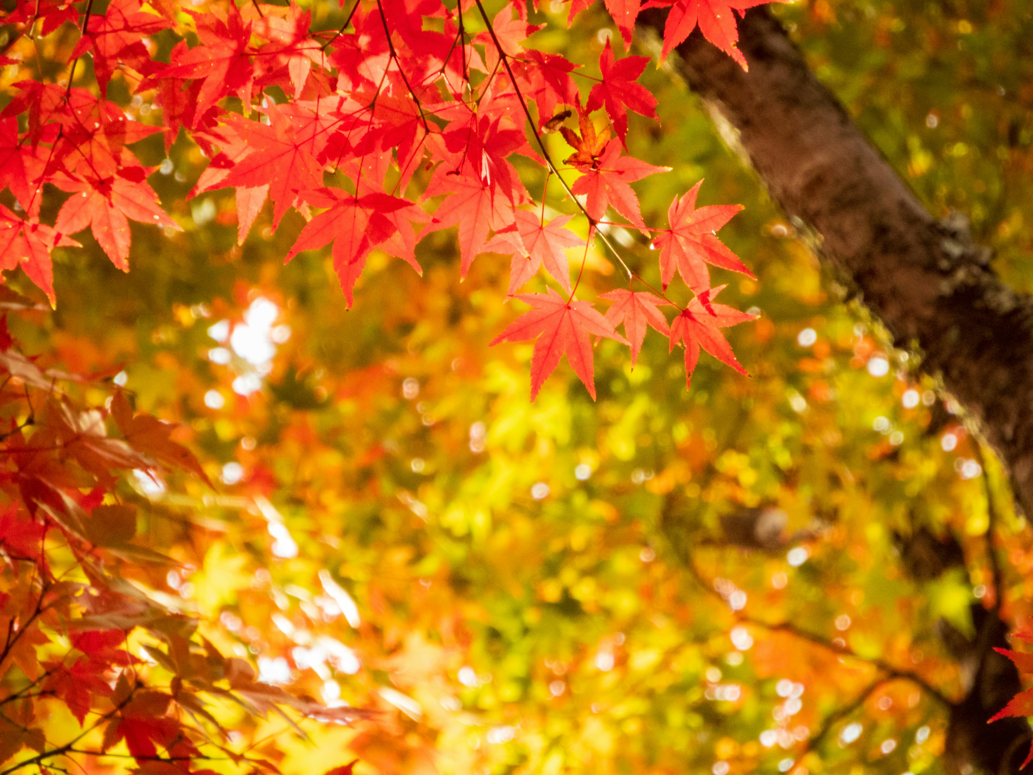 Photo by heppoko_yama