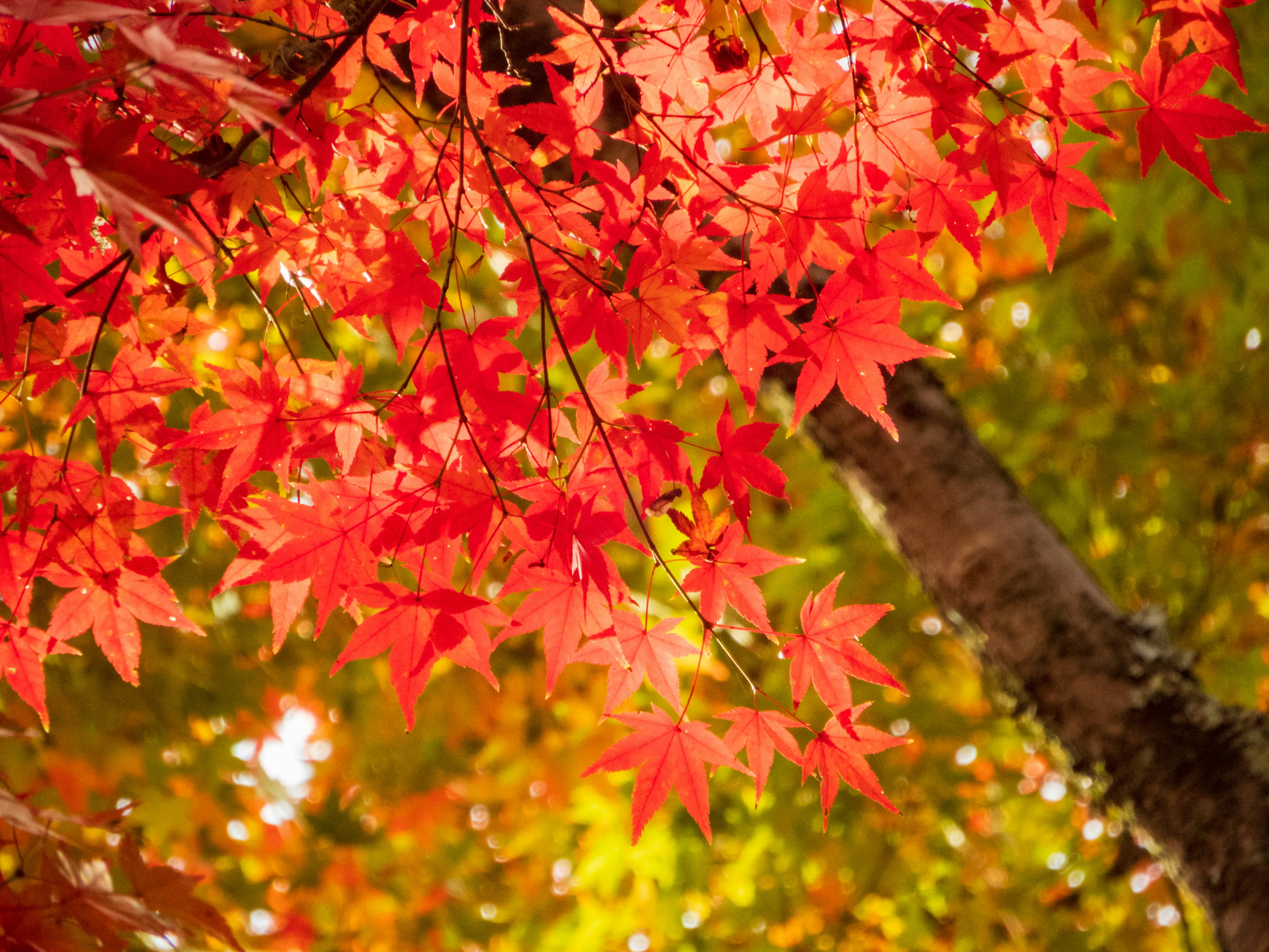 Photo by heppoko_yama