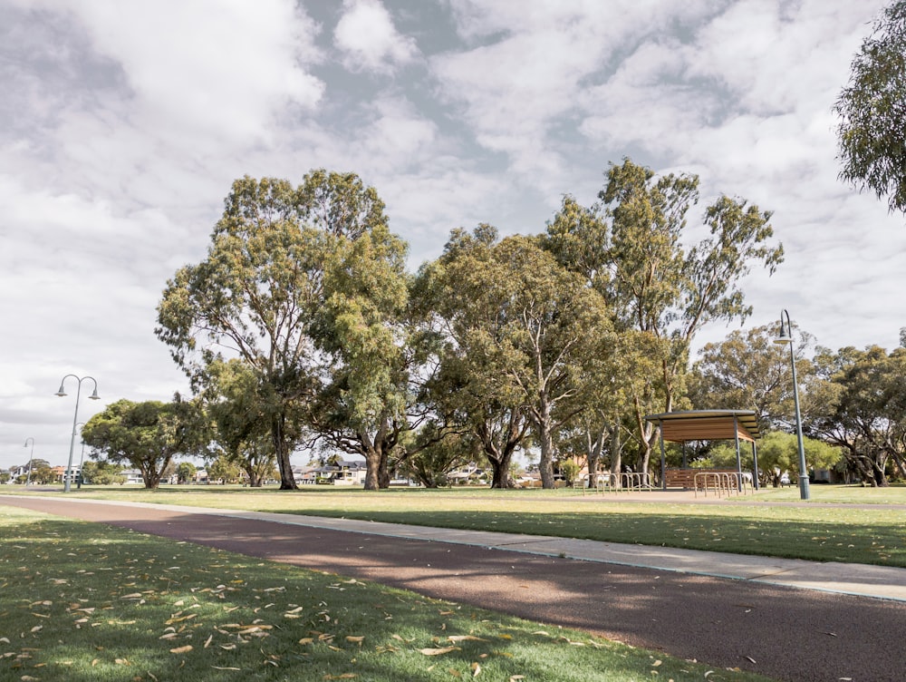 a park with a bench and trees on a cloudy day