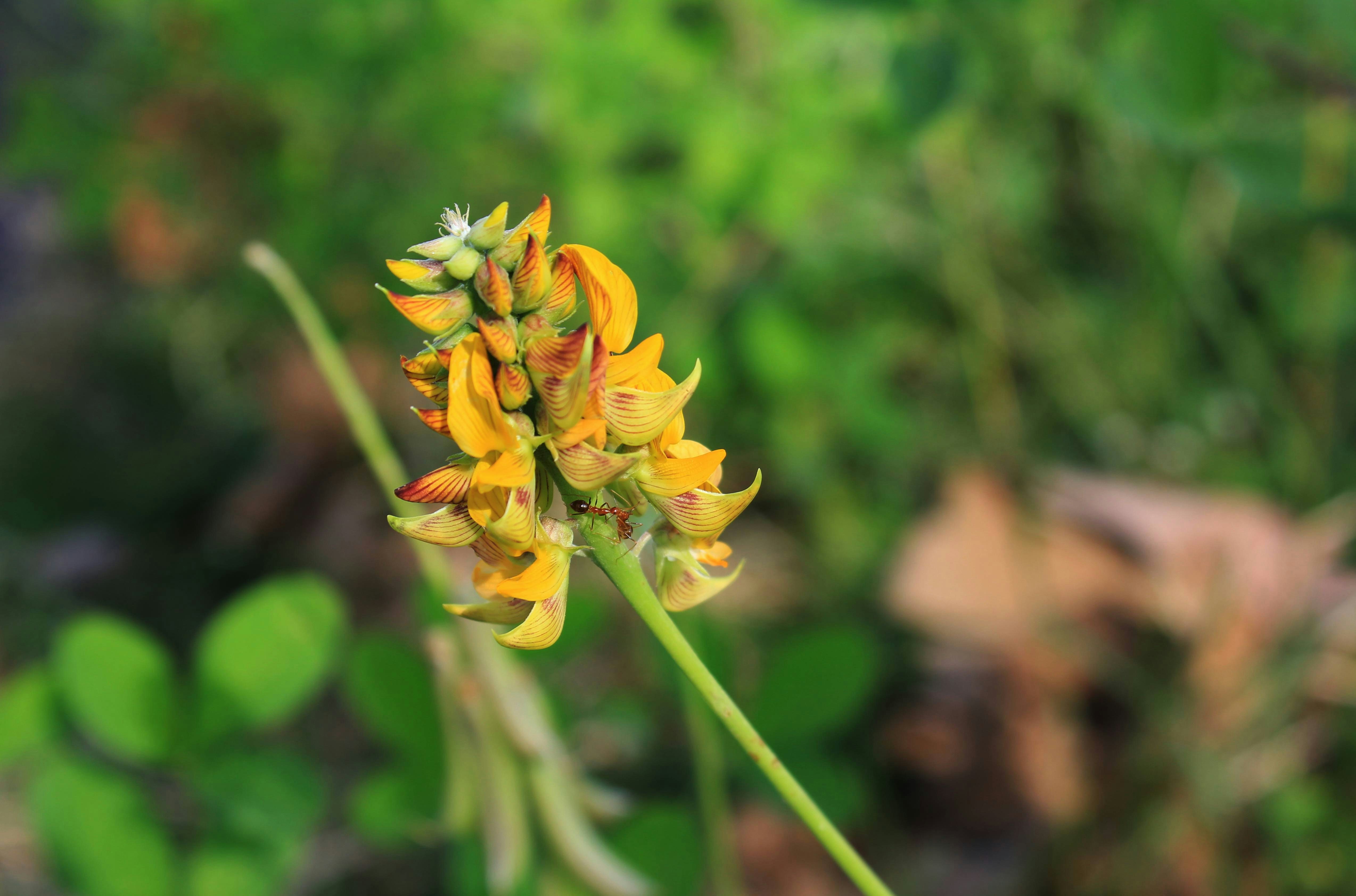 Photo by ryokavertikal