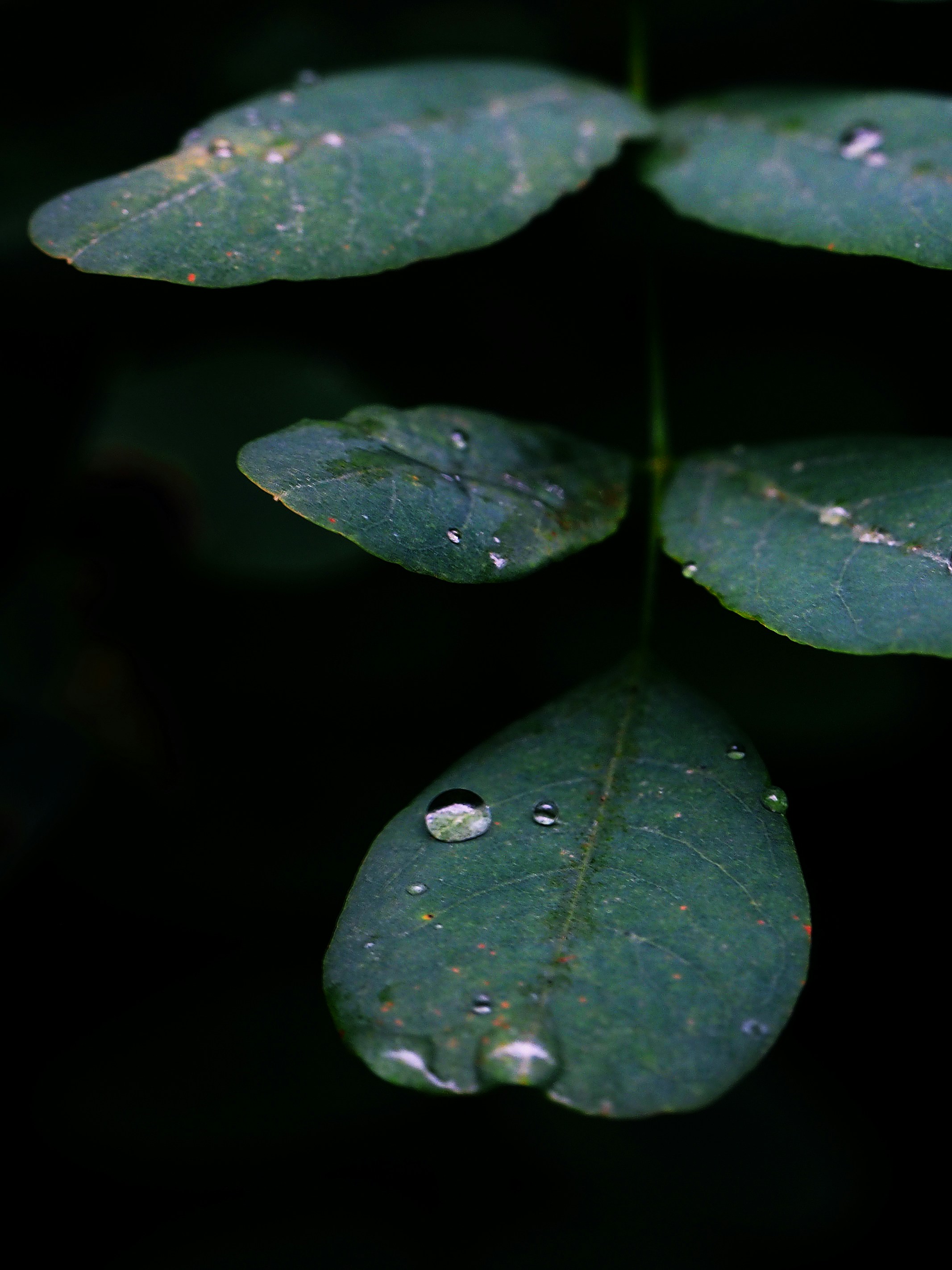Photo by ursulapahl