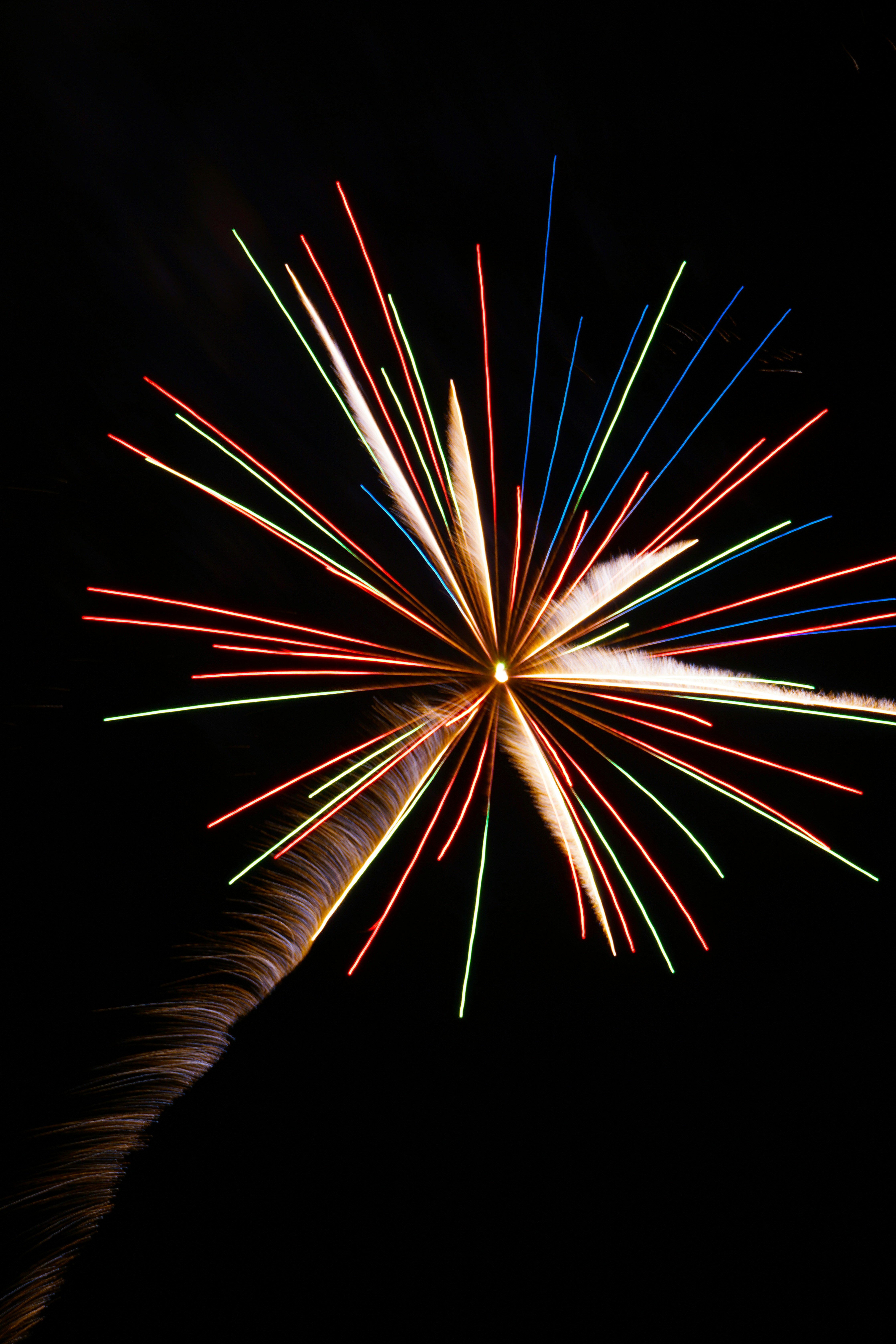 Photo by thegoldenmelon