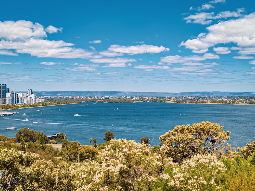 una vista di un grande specchio d'acqua con una città sullo sfondo