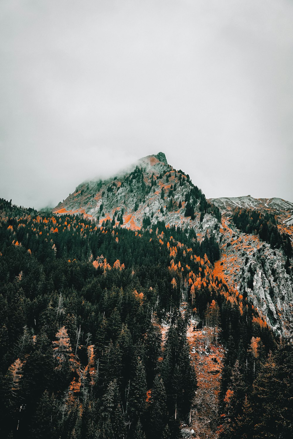 a mountain covered in lots of trees under a cloudy sky