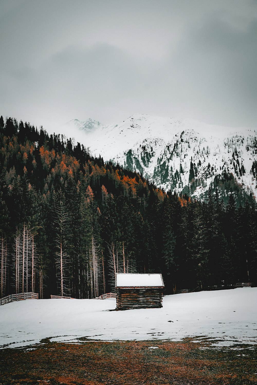 a cabin in the middle of a snowy field