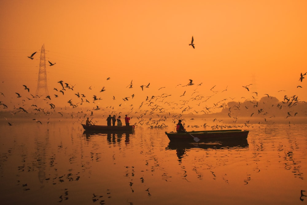 a flock of birds flying over a boat in the water