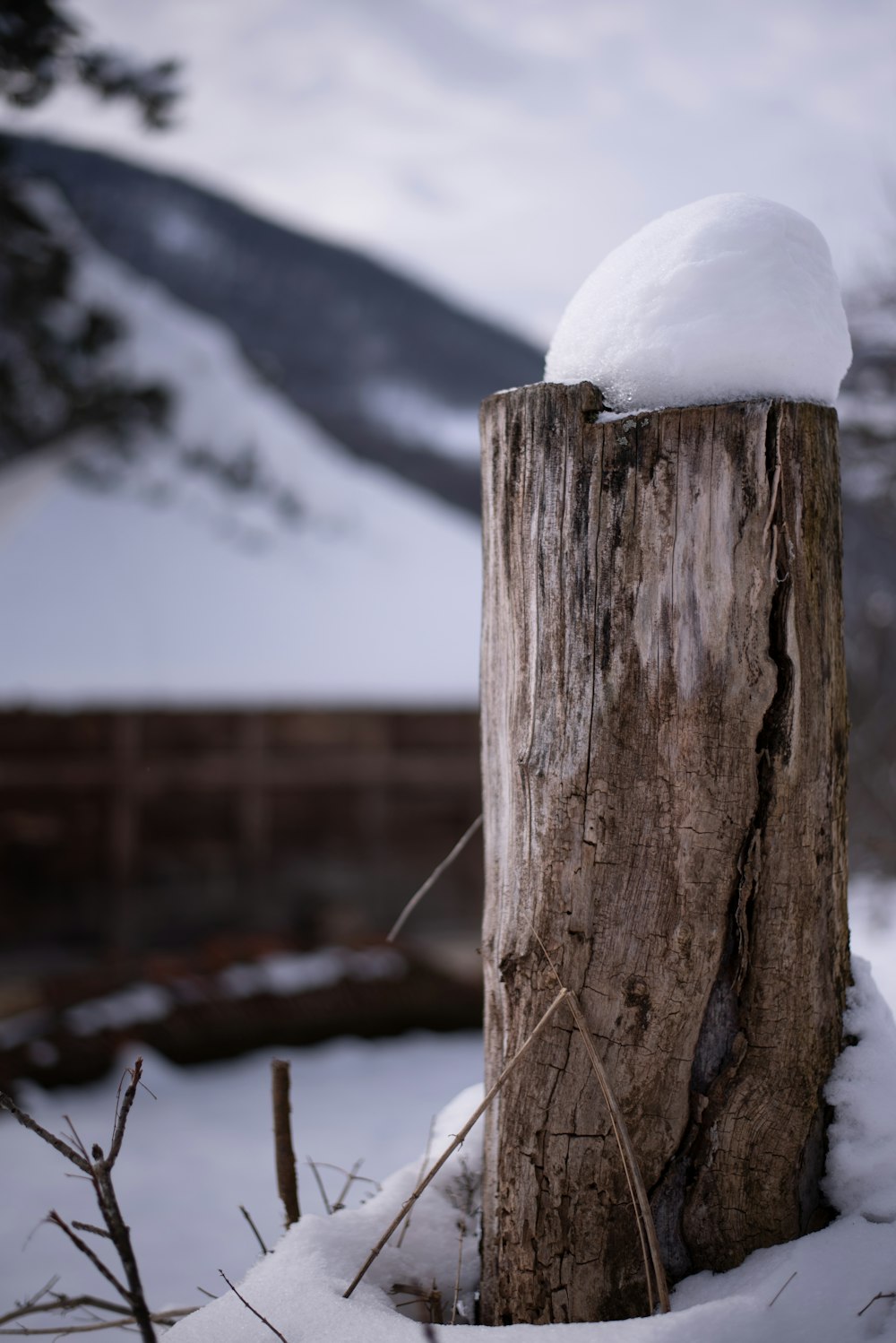 a tree stump with snow on top of it