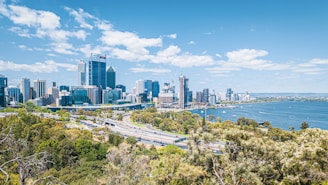 a view of a city and the ocean from a hill