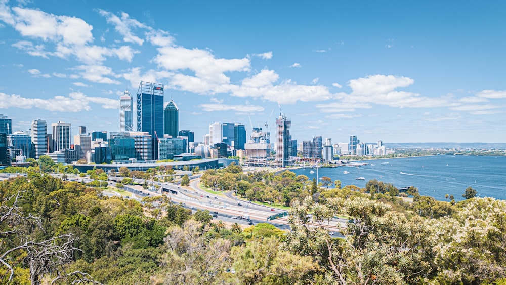 a view of a city and the ocean from a hill