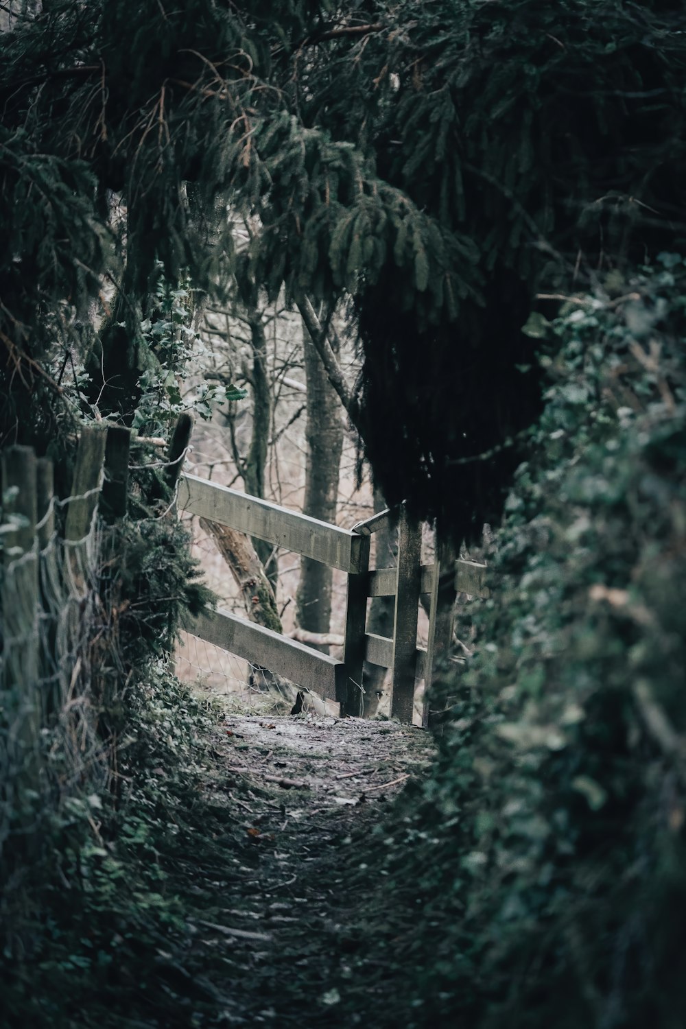 a wooden fence surrounded by trees and bushes