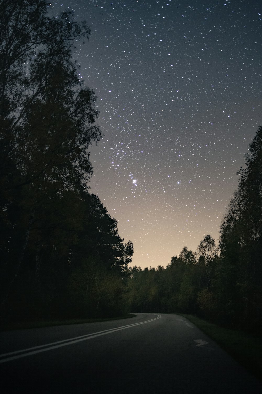 the night sky with stars above a road