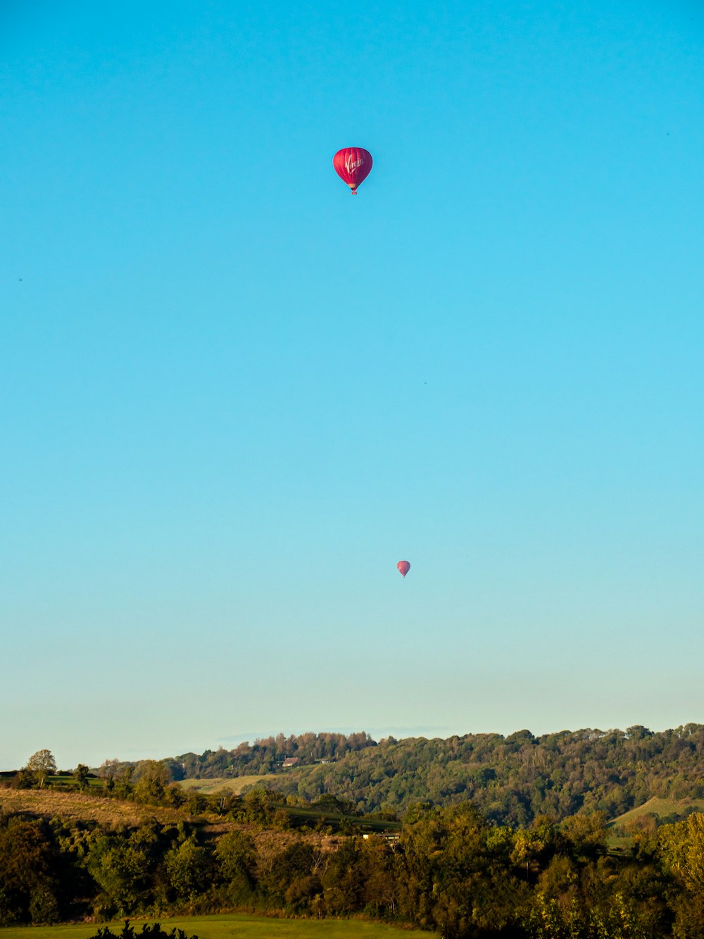 a hot air balloon flying over a lush green field