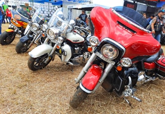 A stunning view of diverse motorcycles gathered for an event.