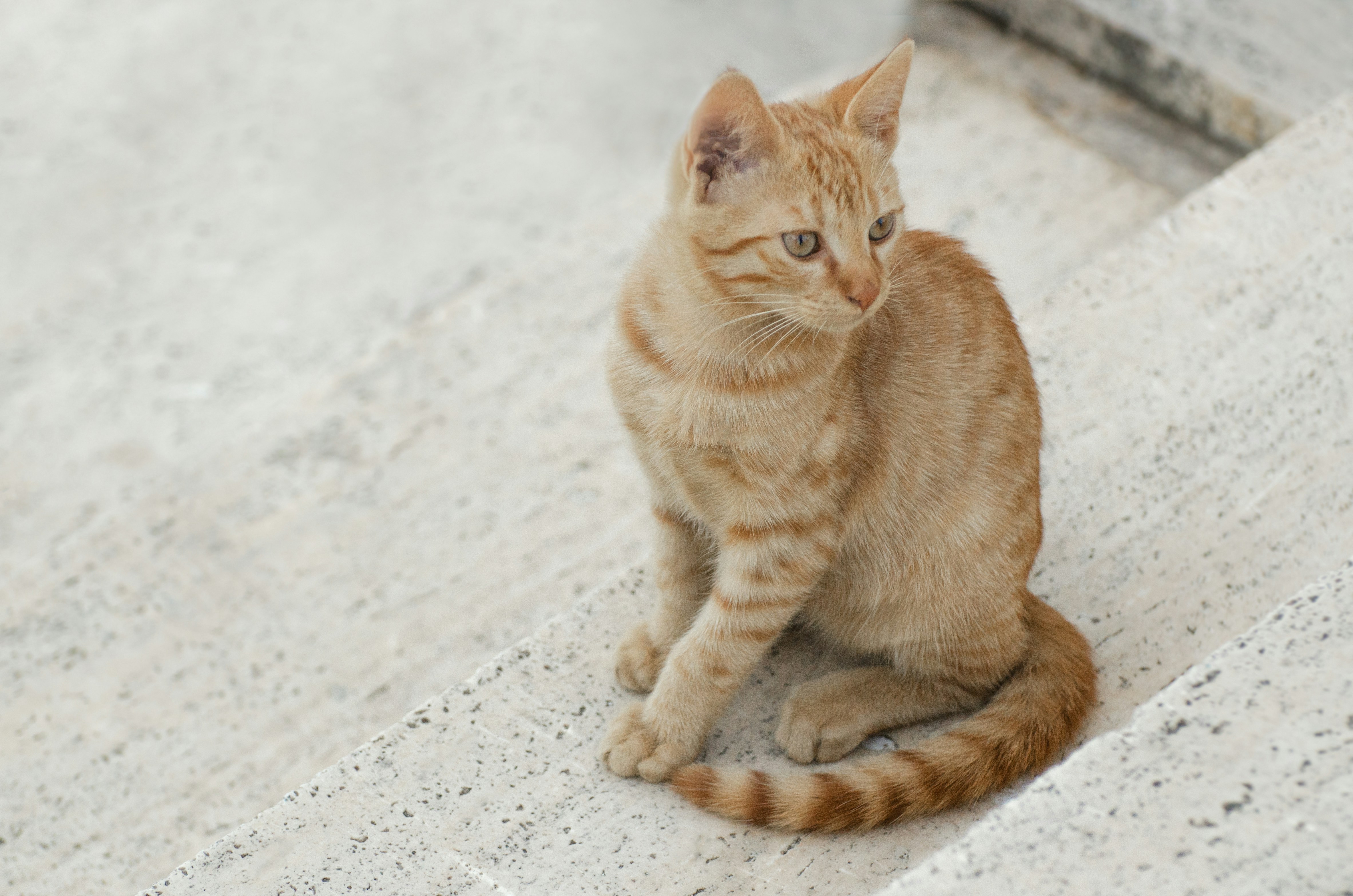 Photo by viktortalashuk