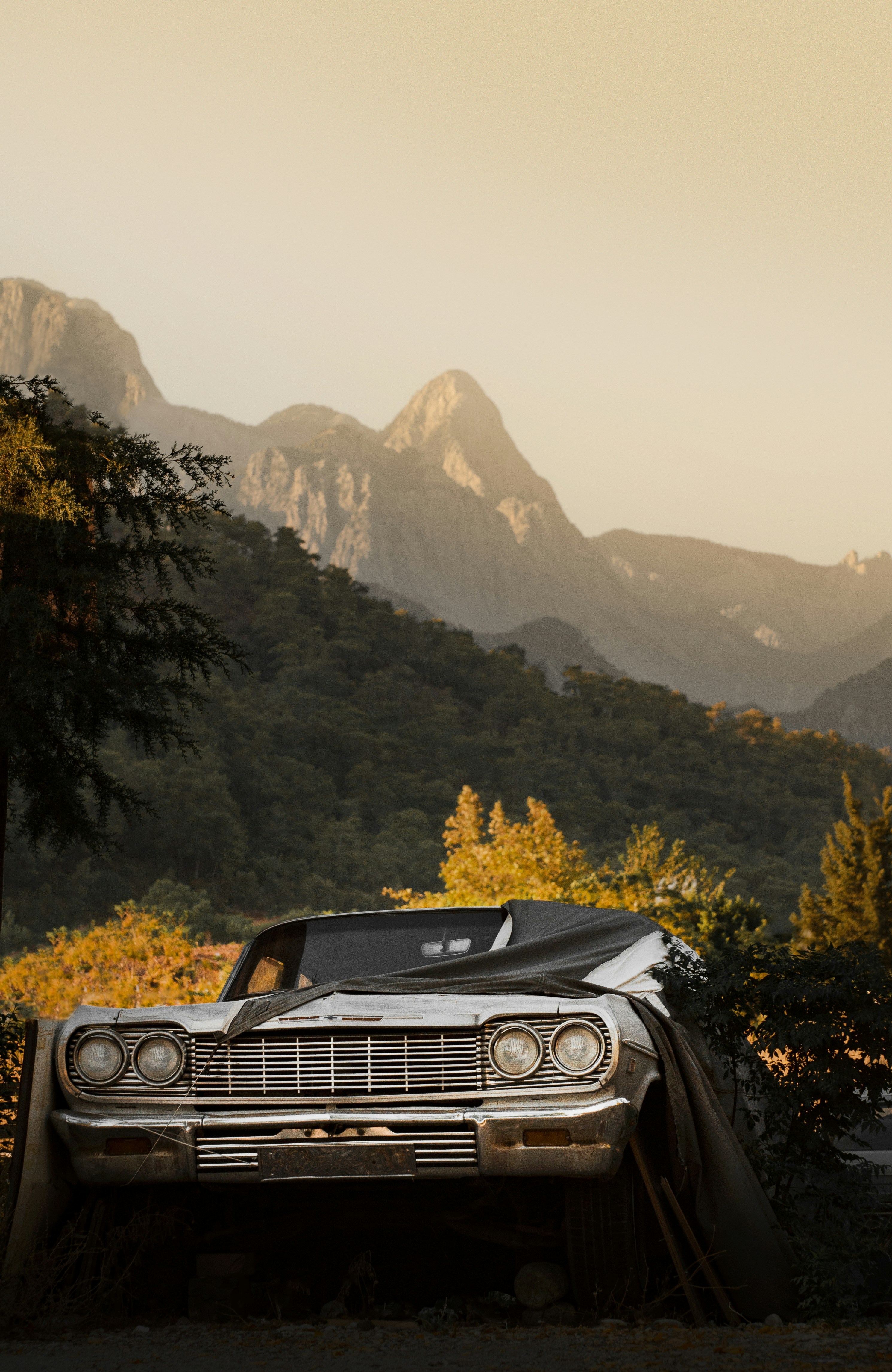 a car that is sitting in the grass