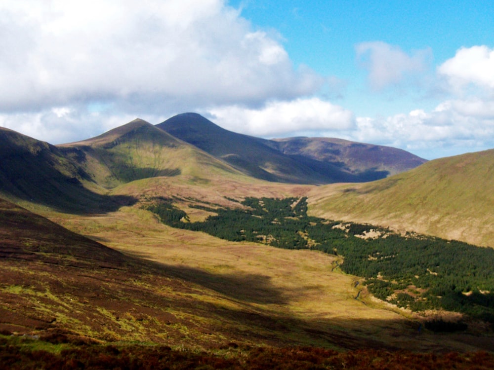 Una vista de un valle con montañas al fondo