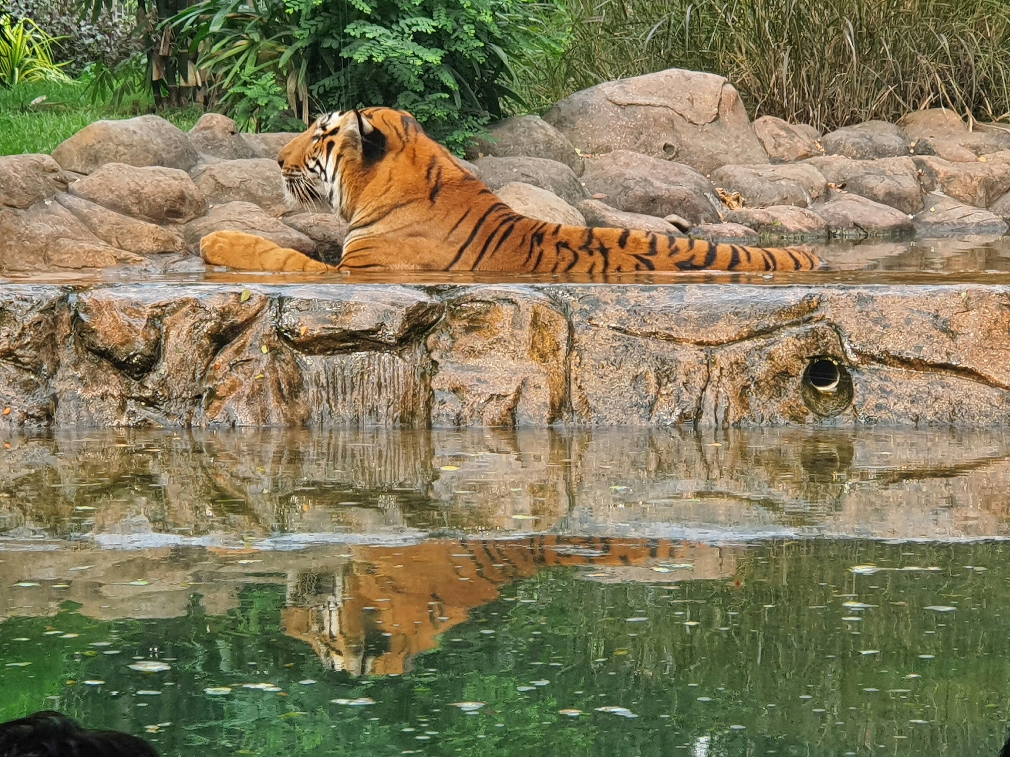 Shared Ancestors, Divergent Paths (image credits: unsplash)