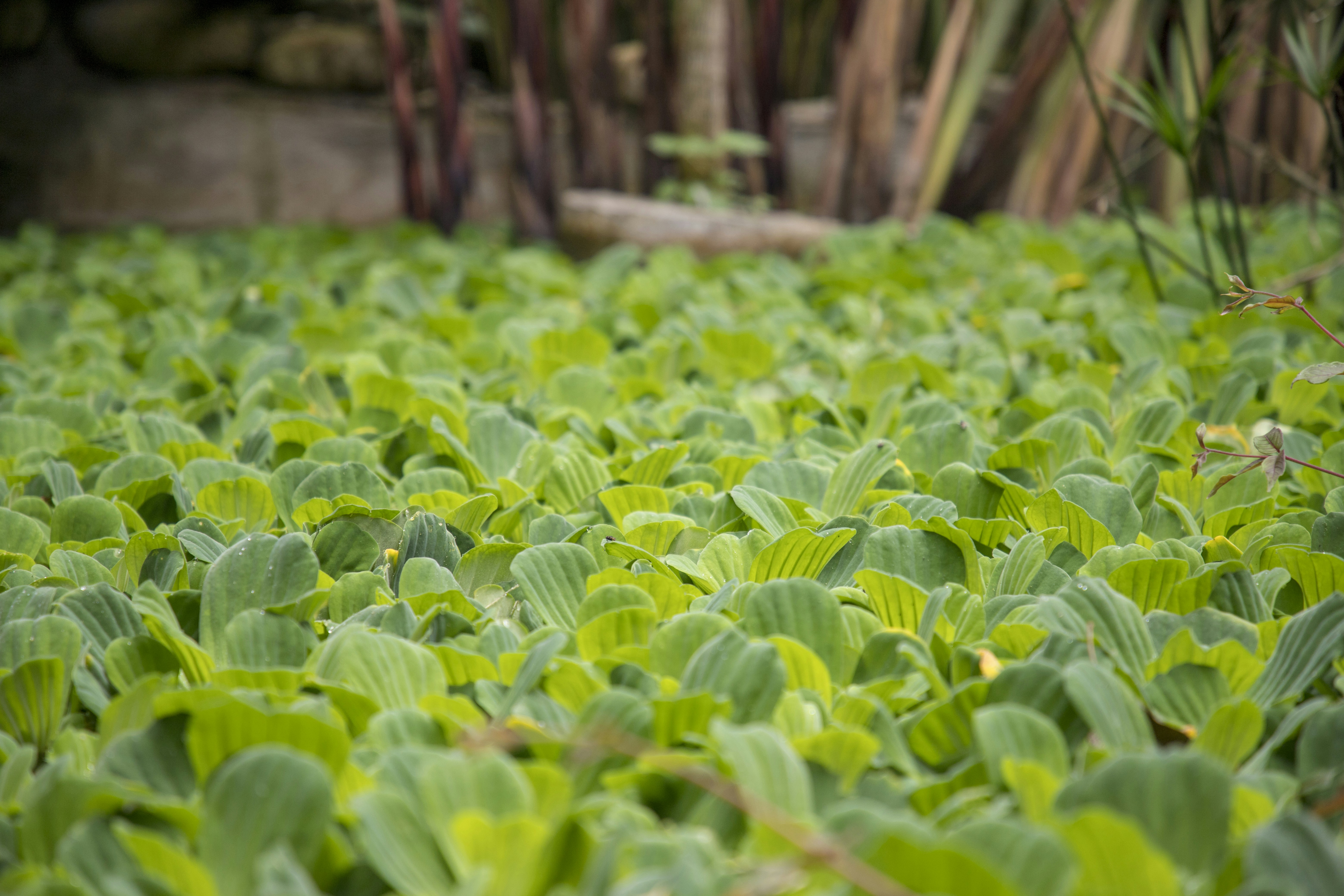 Photo by bahr_splash