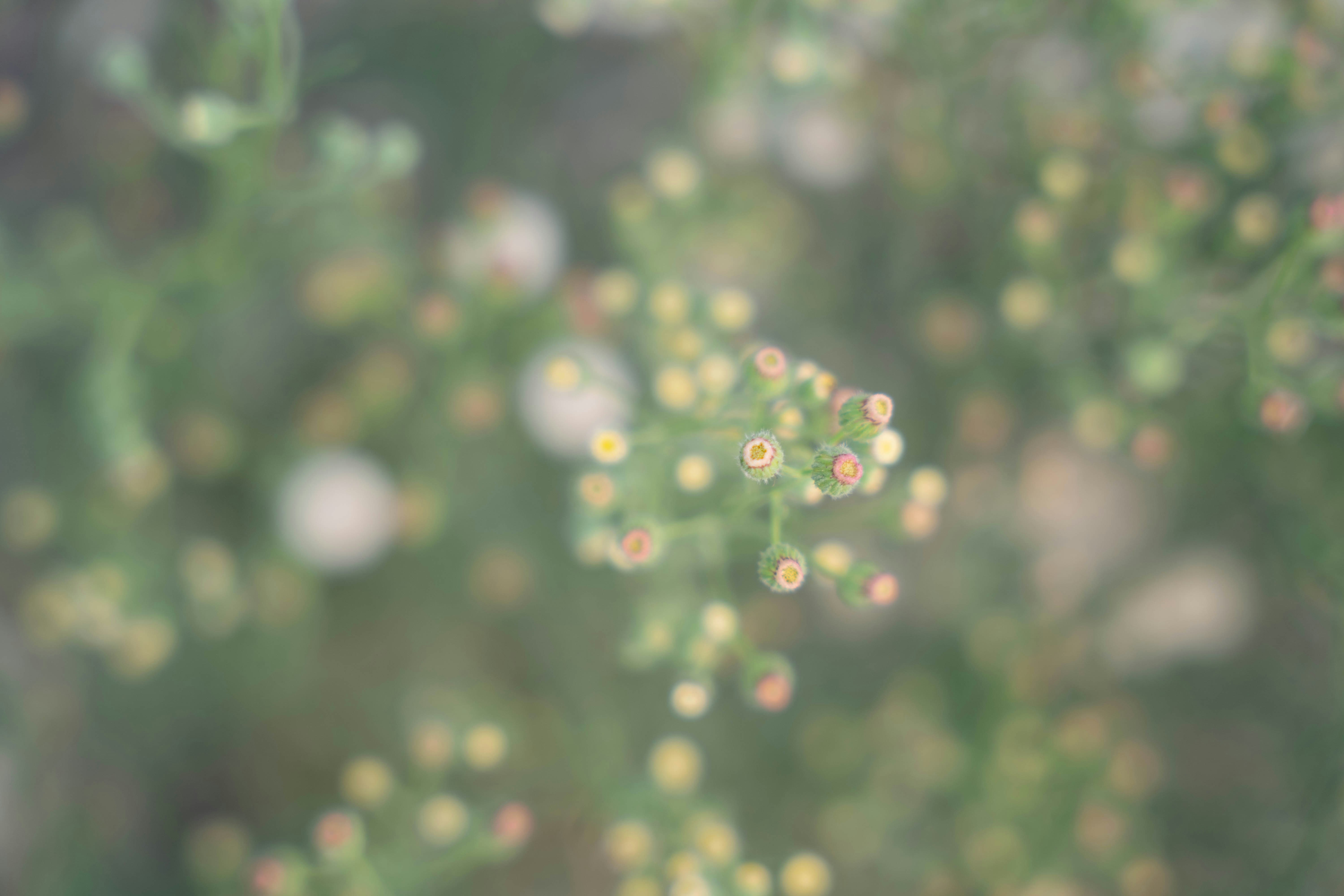 Photo by sunnynguyen