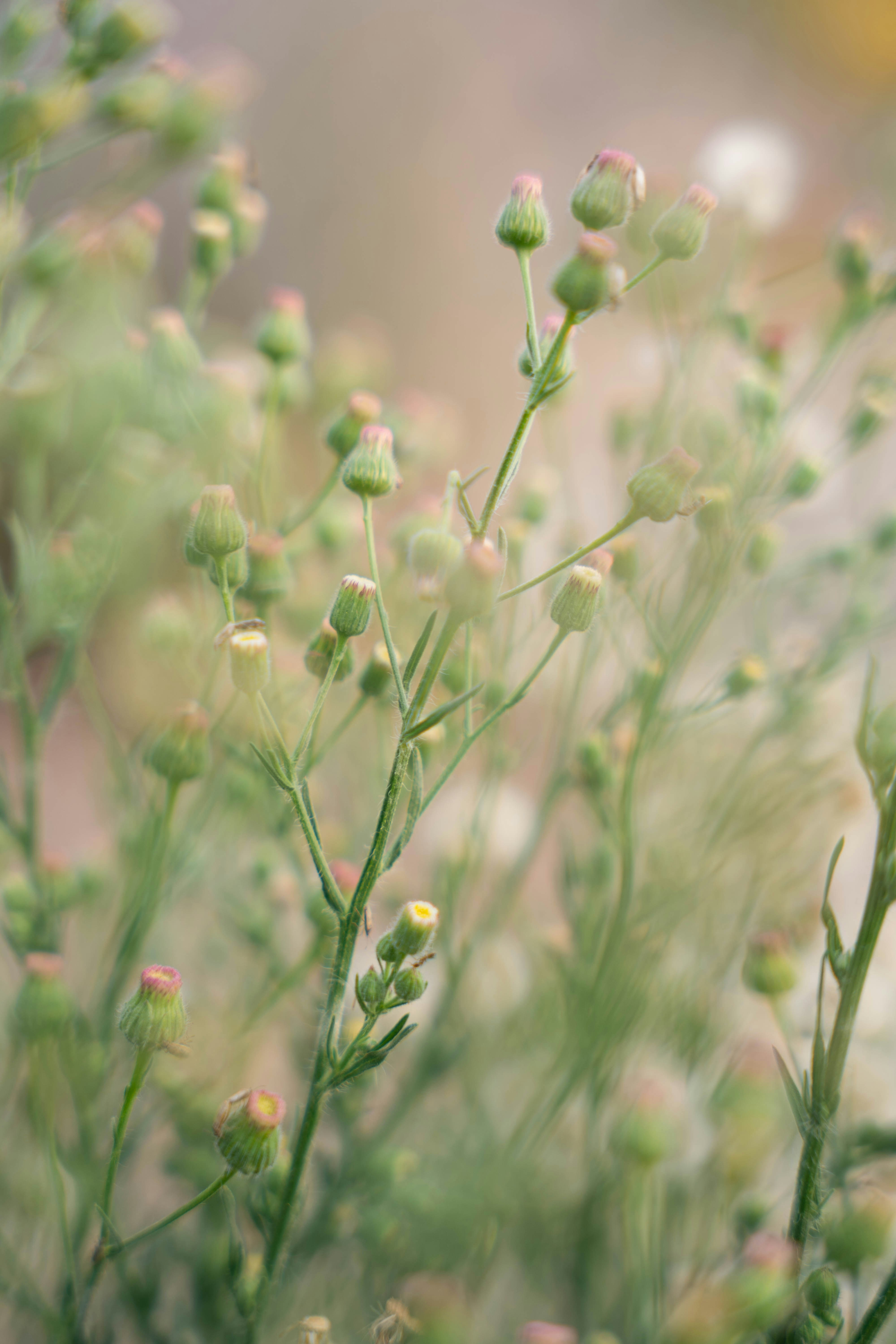 Photo by sunnynguyen