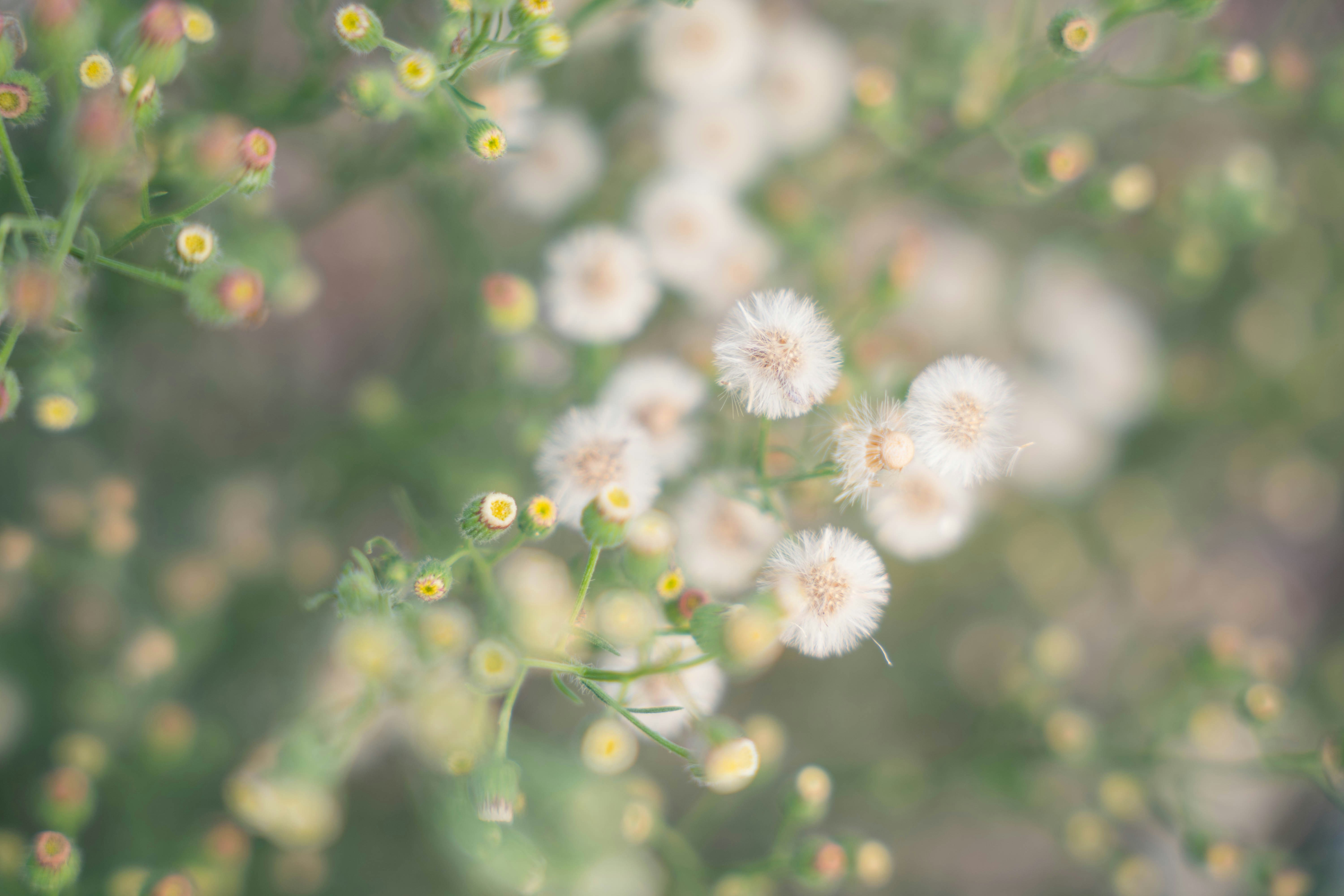 Photo by sunnynguyen