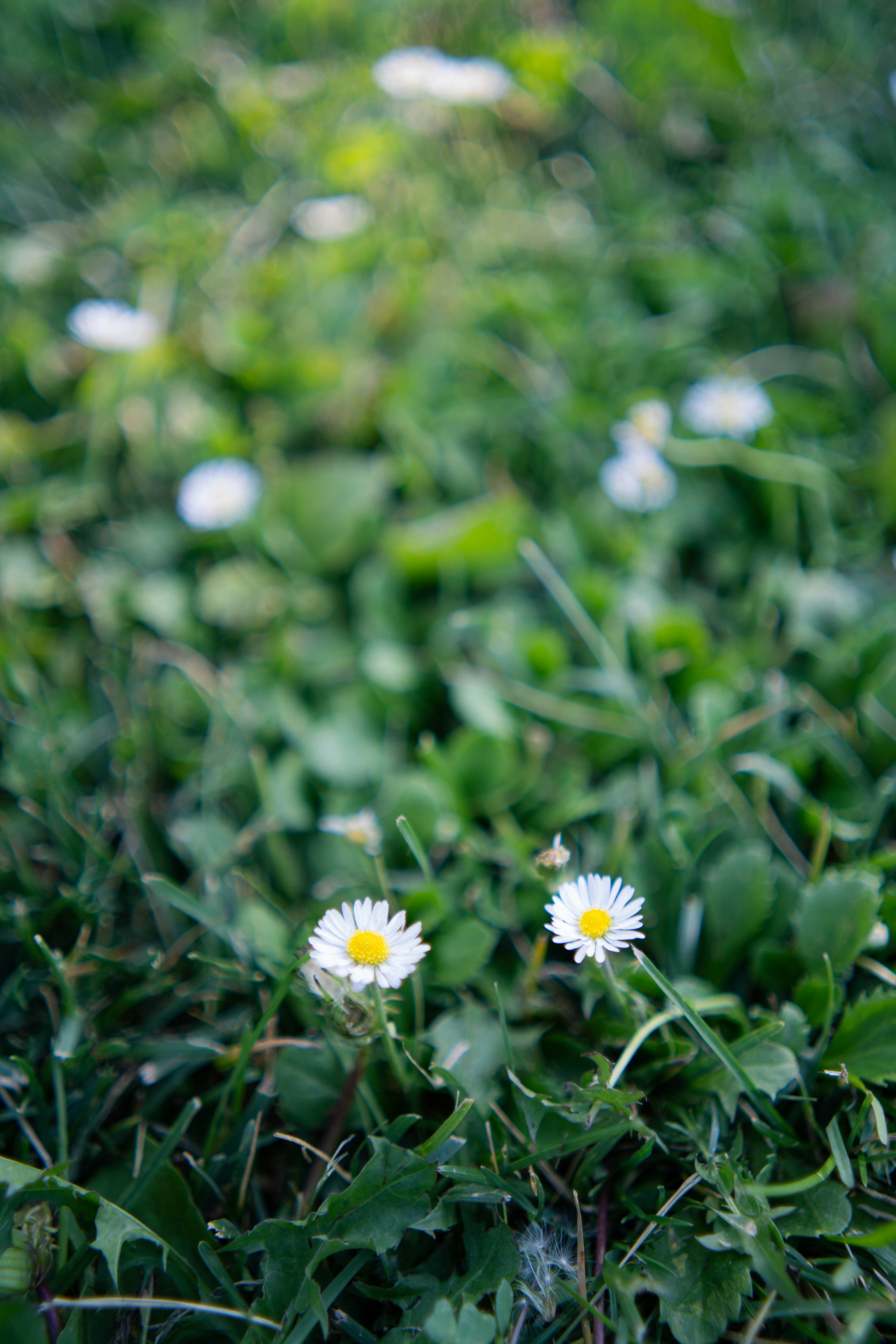 Photo by sunnynguyen