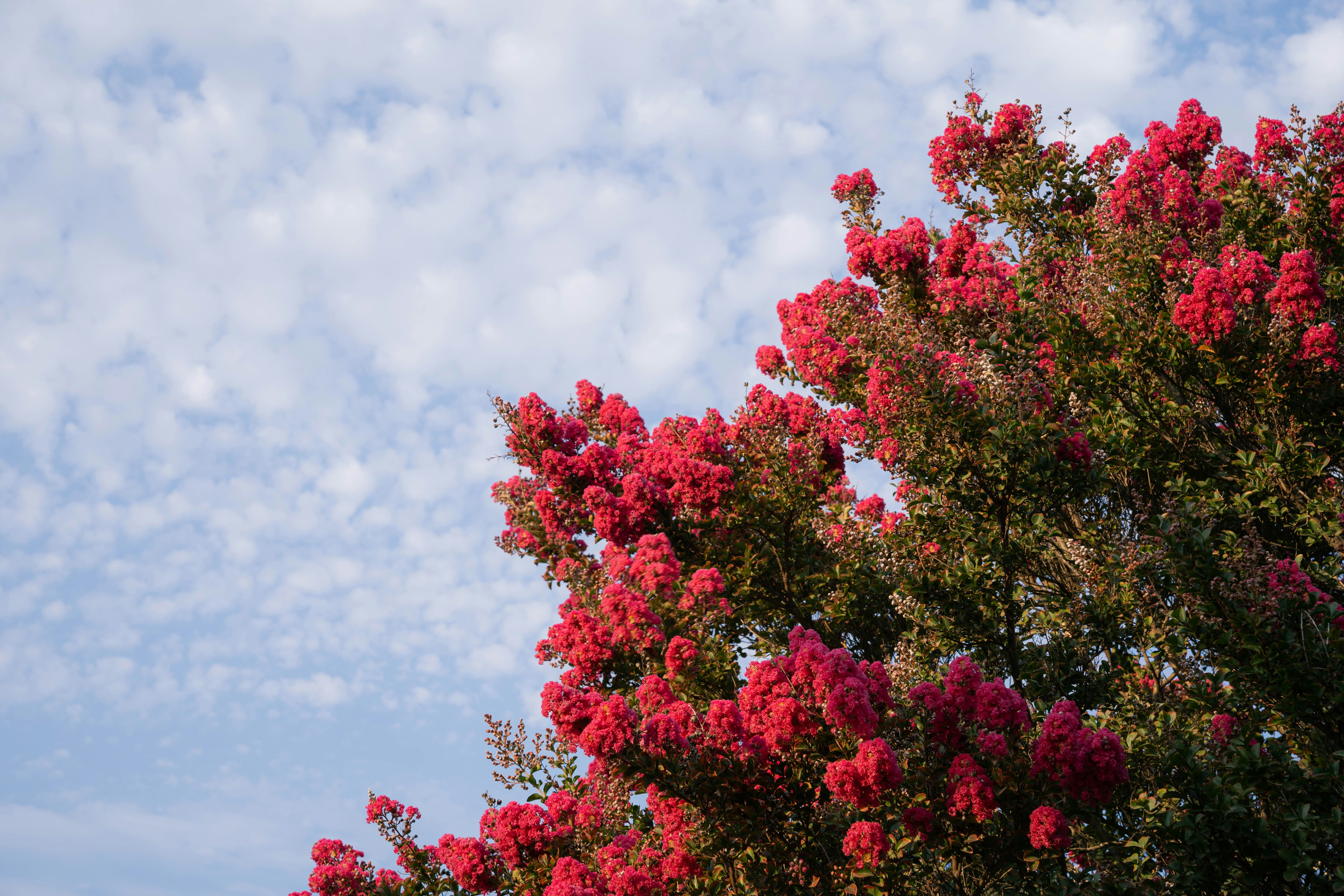 Photo by sunnynguyen