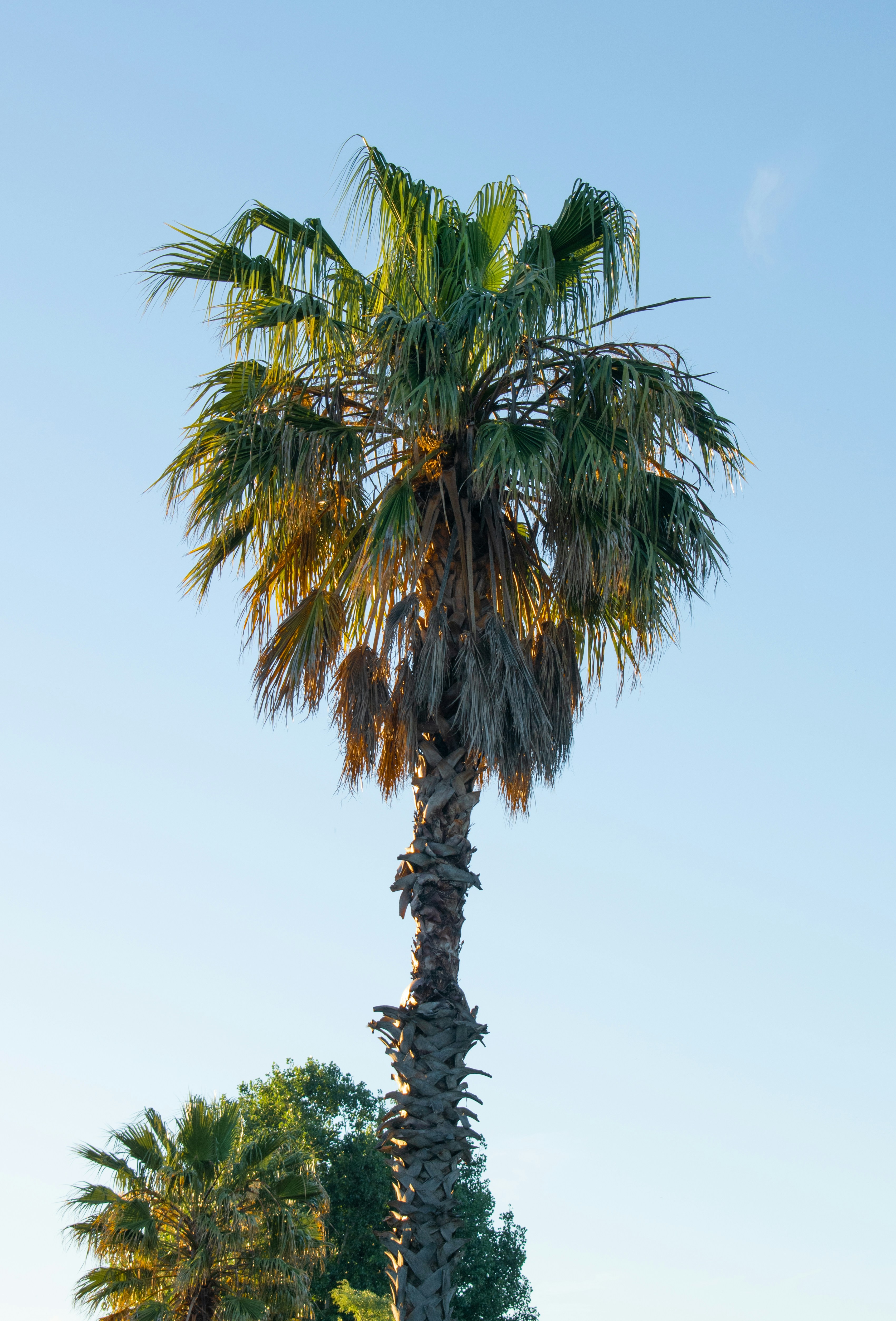 Photo by valenjphoto