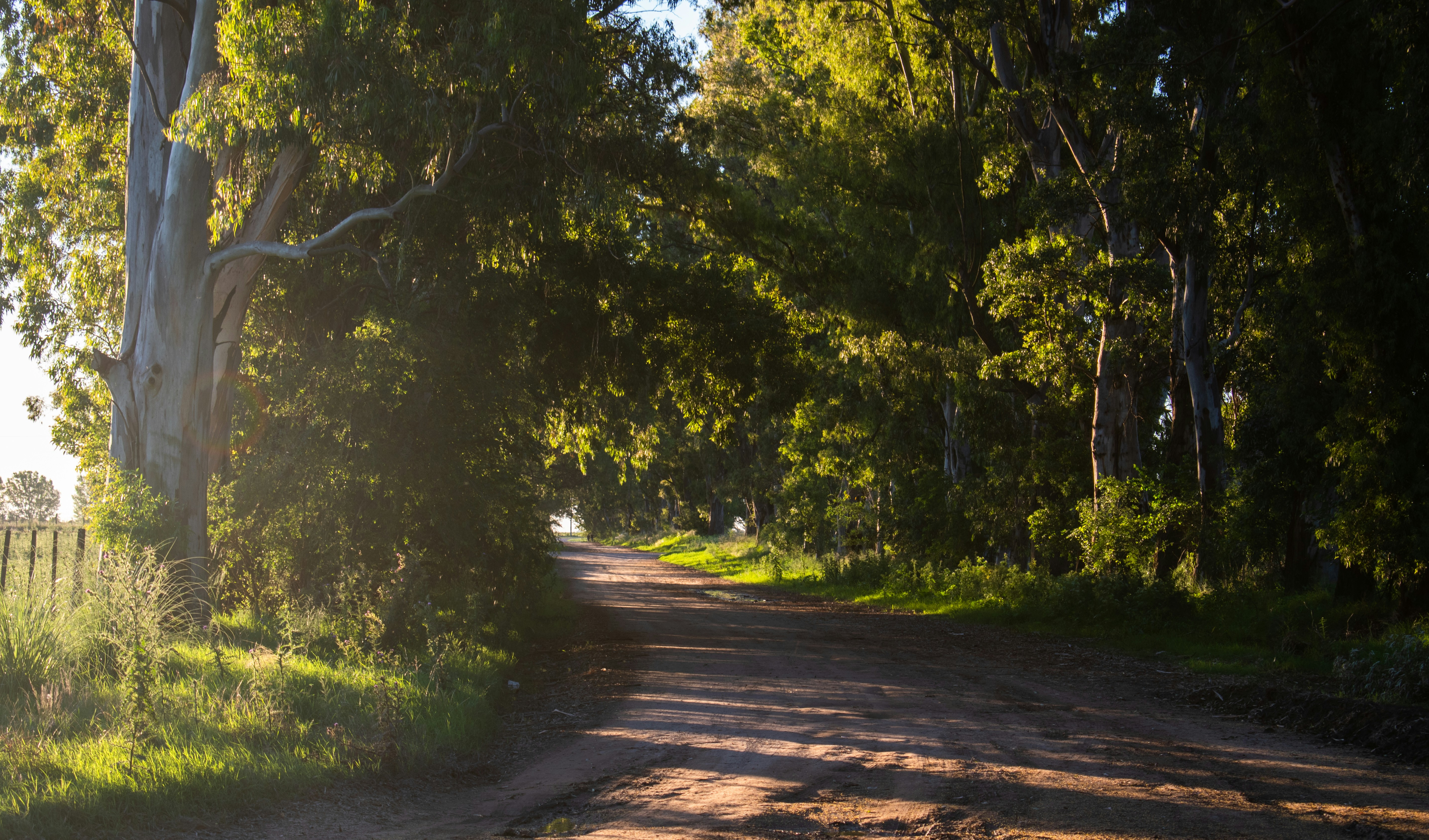 Photo by valenjphoto