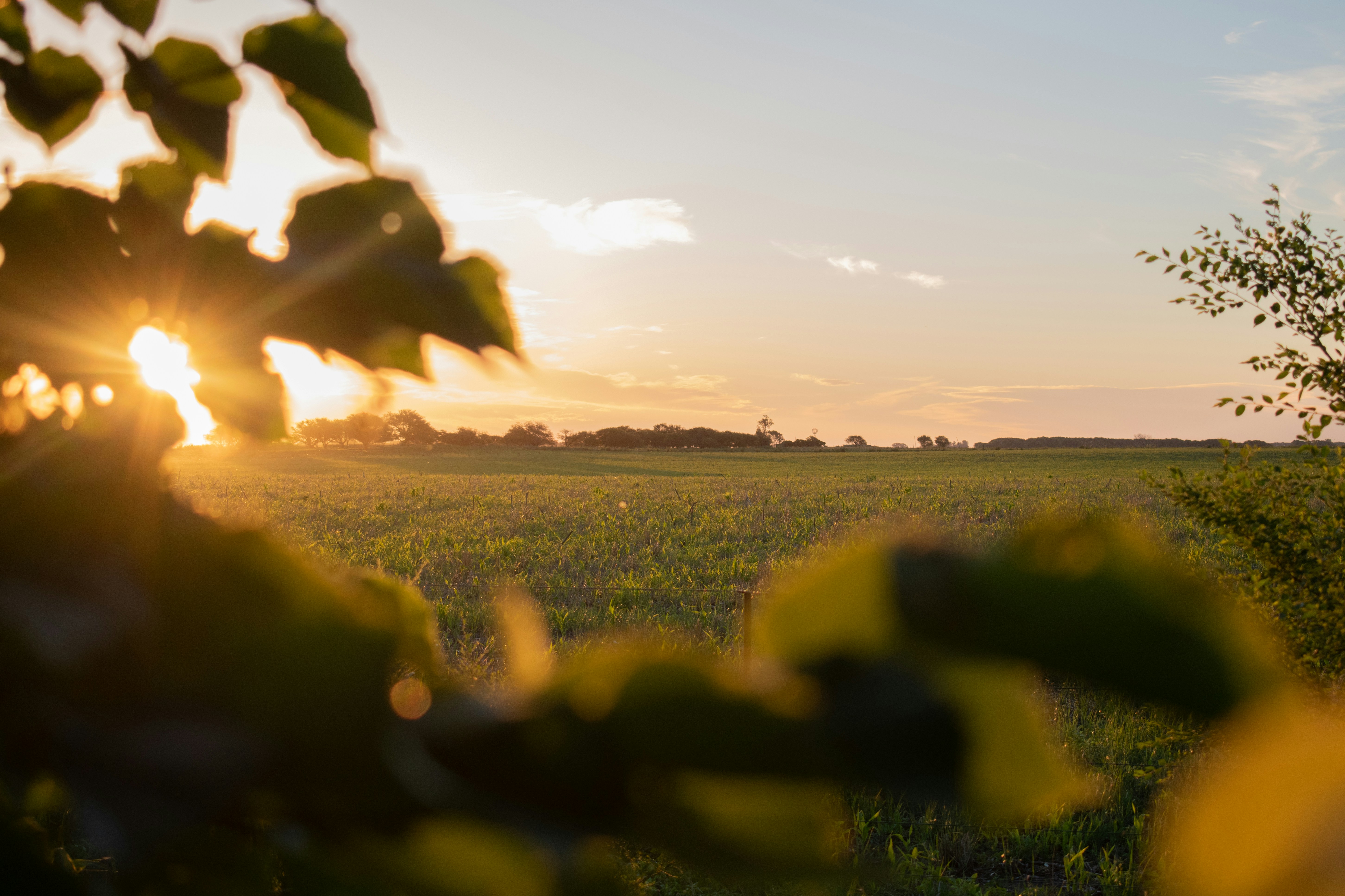 Photo by valenjphoto