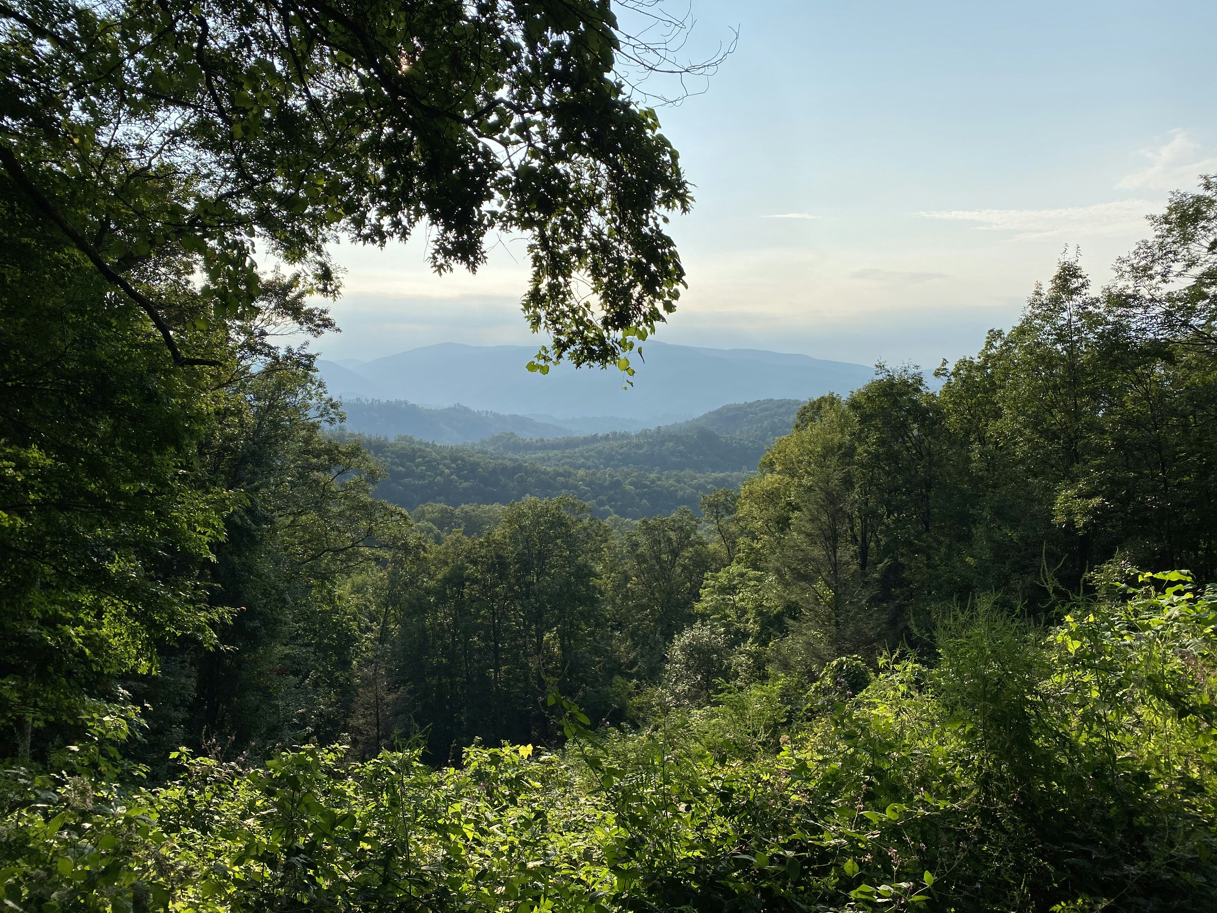 Photo by tomiestevens