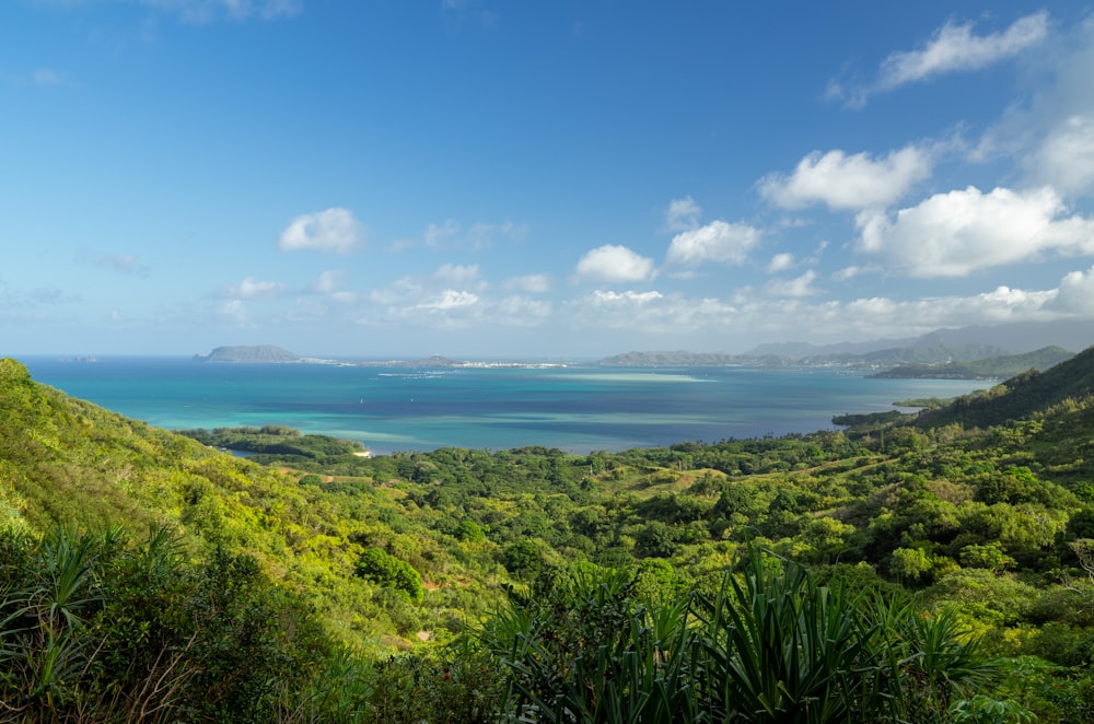 a scenic view of the ocean from a hill