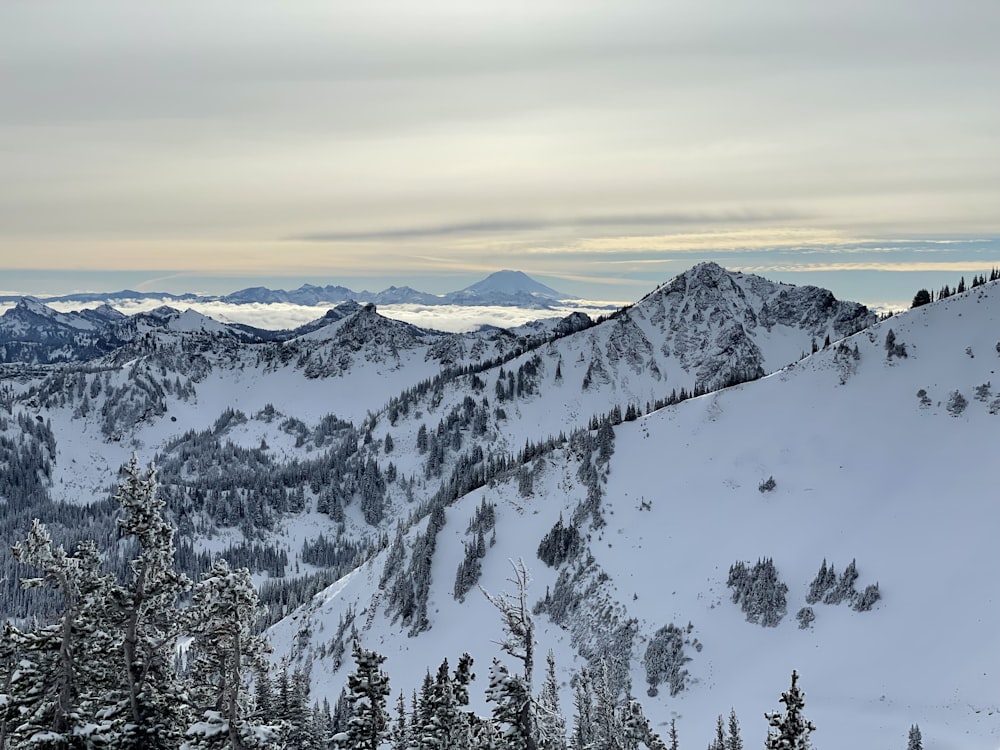 uma vista de uma montanha nevada com árvores e montanhas ao fundo